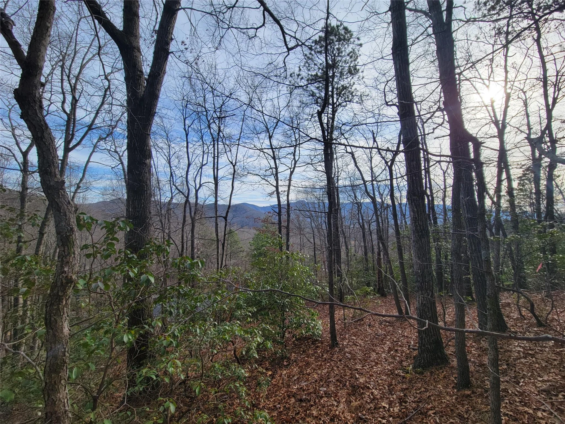 0000 Lookout Terrace Road - Photo 28