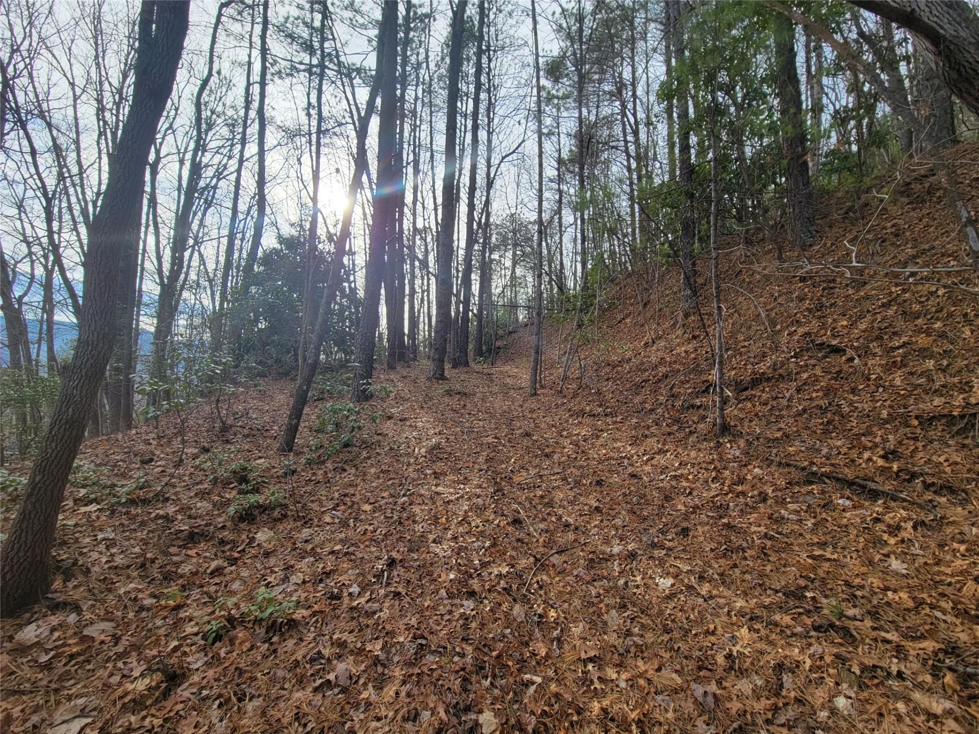 0000 Lookout Terrace Road - Photo 30