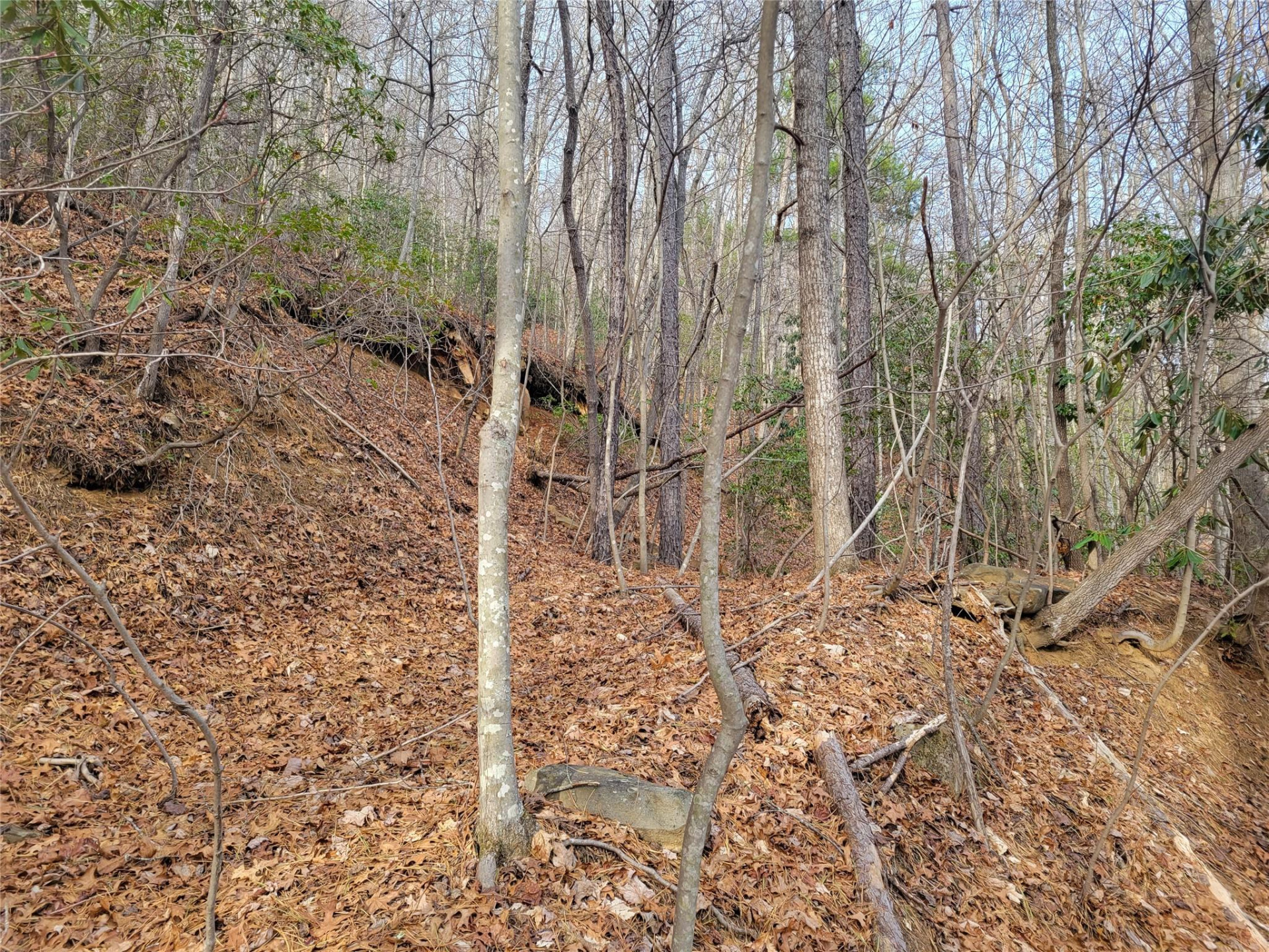 0000 Lookout Terrace Road - Photo 32