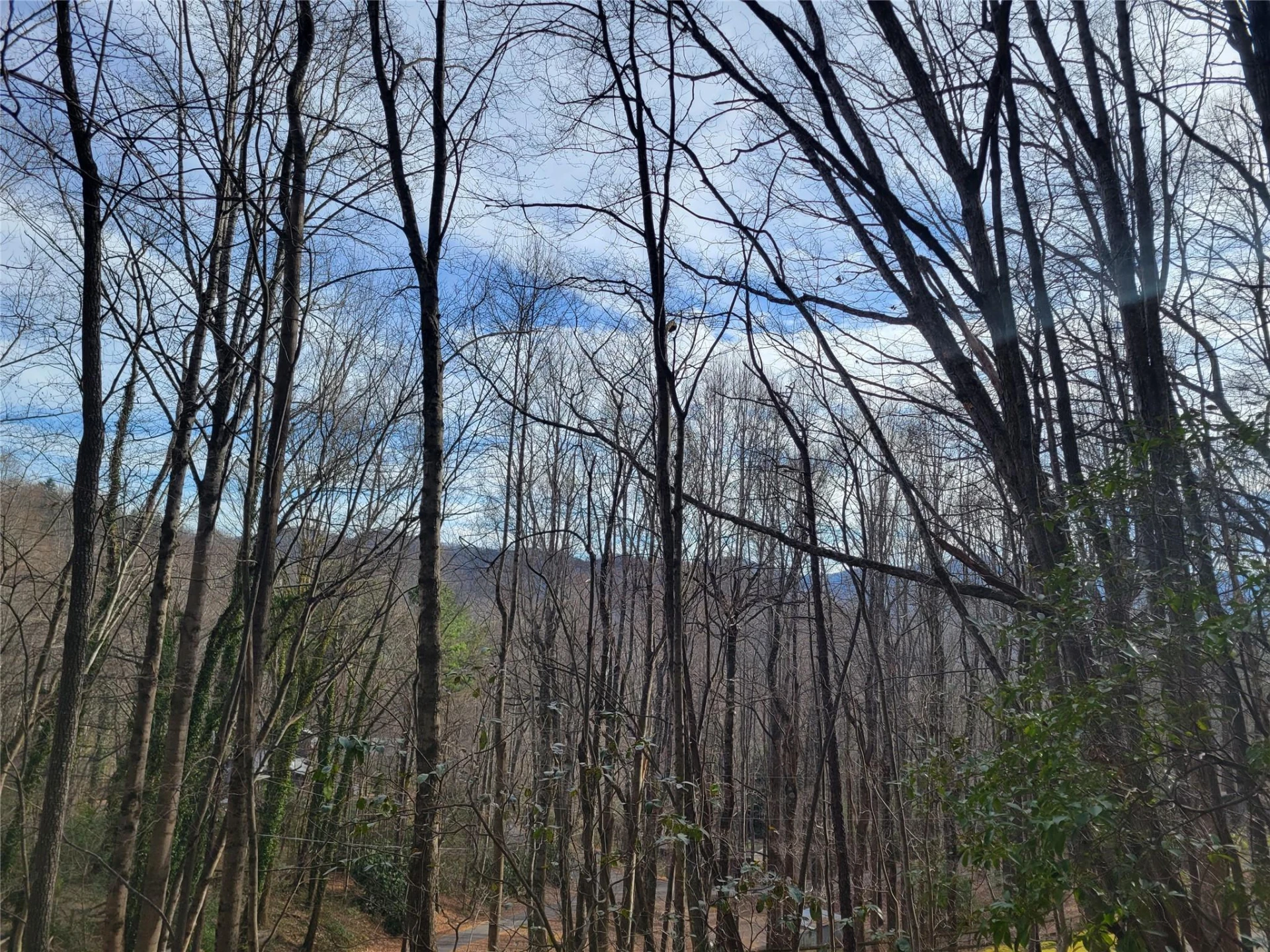0000 Lookout Terrace Road - Photo 33