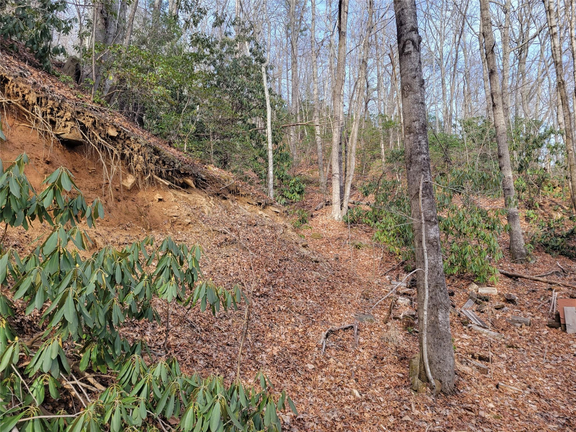 0000 Lookout Terrace Road - Photo 34