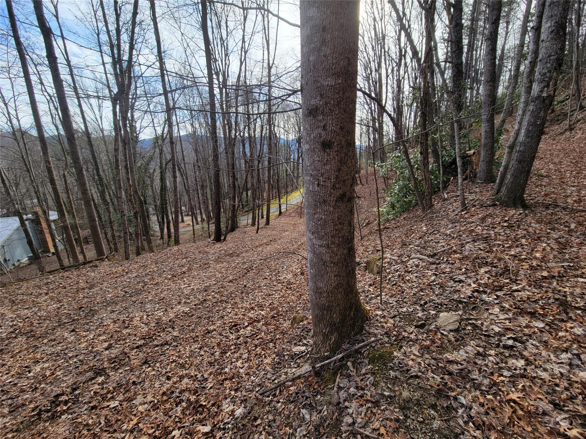 0000 Lookout Terrace Road - Photo 35