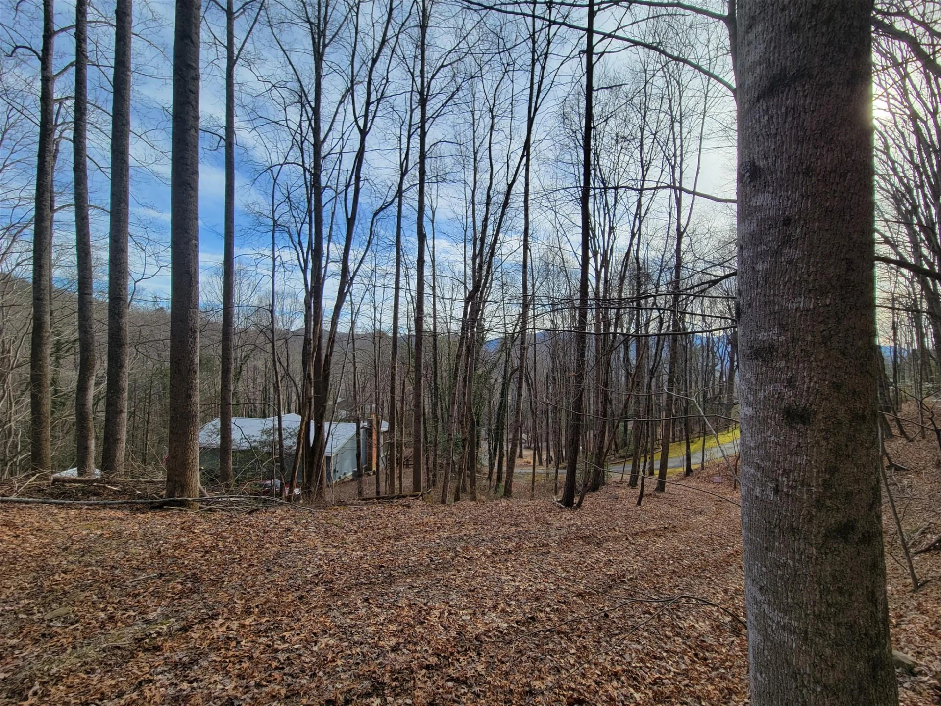 0000 Lookout Terrace Road - Photo 36
