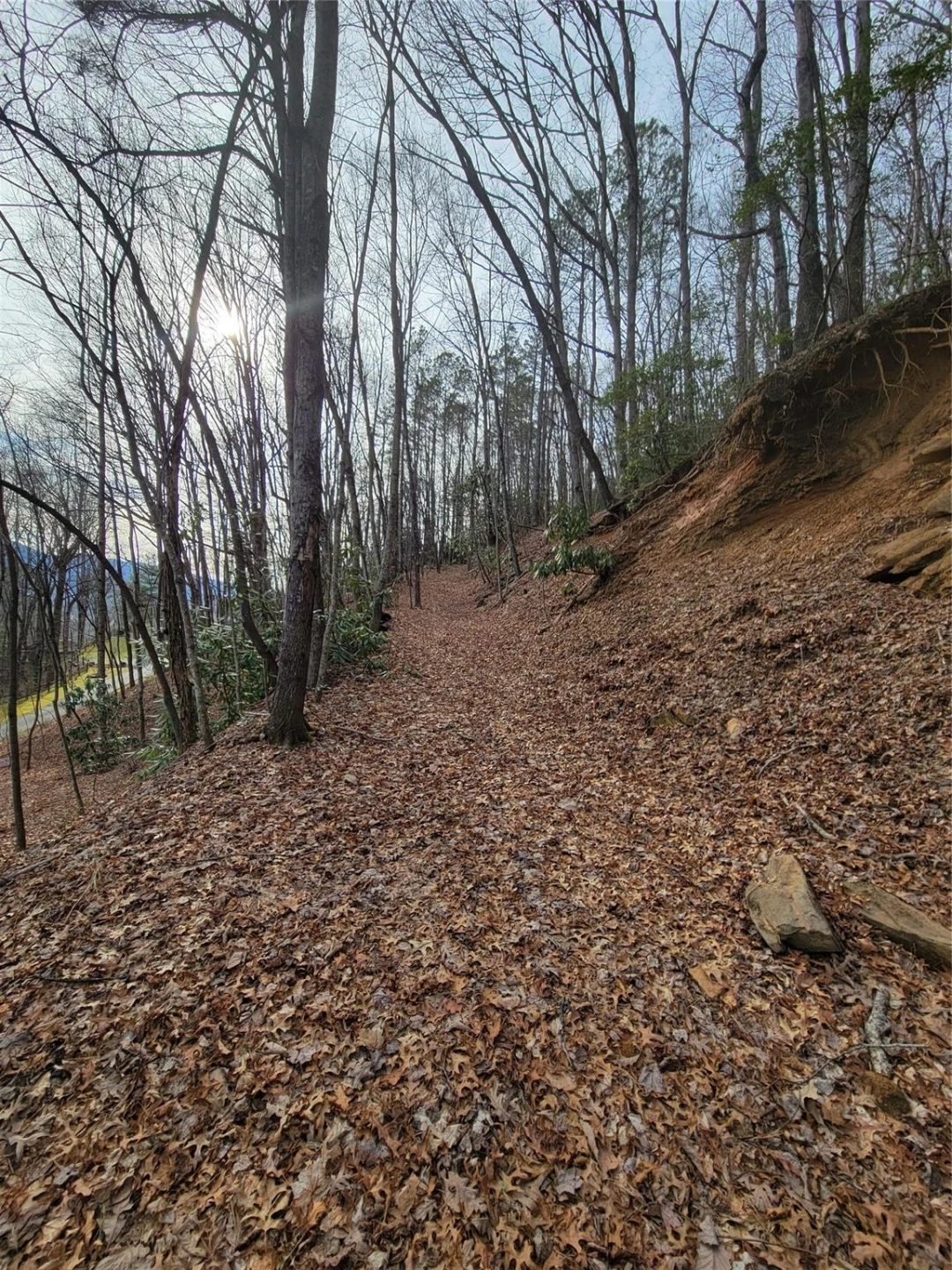 0000 Lookout Terrace Road - Photo 5