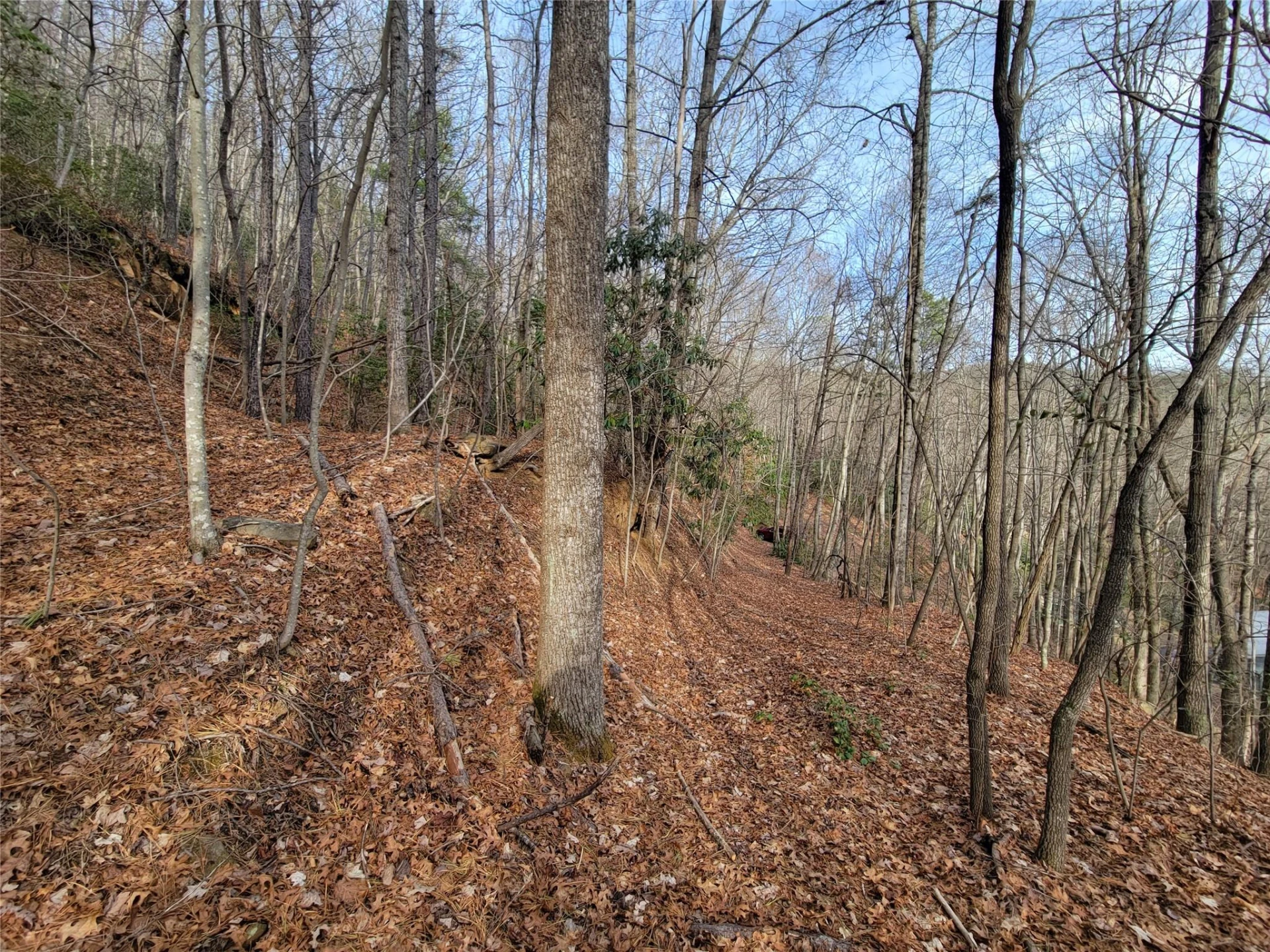 0000 Lookout Terrace Road - Photo 6