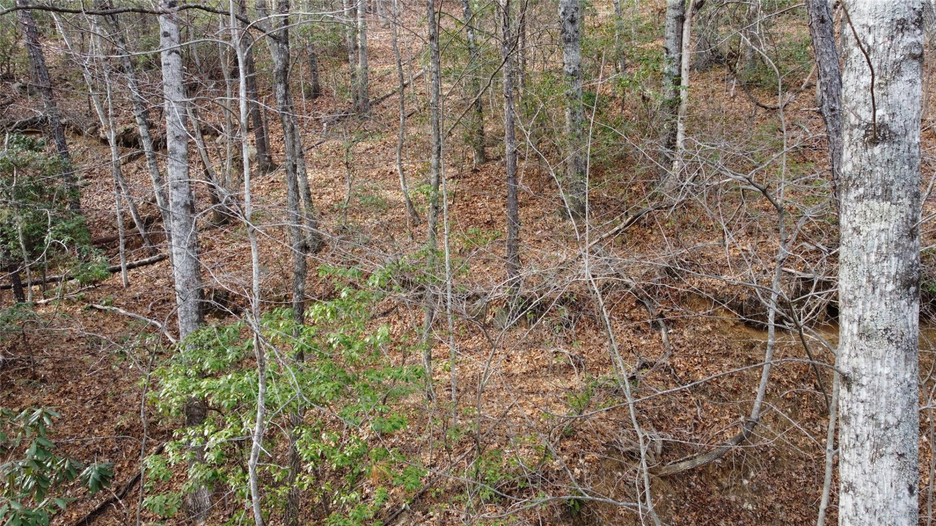 0000 Lookout Terrace Road - Photo 7