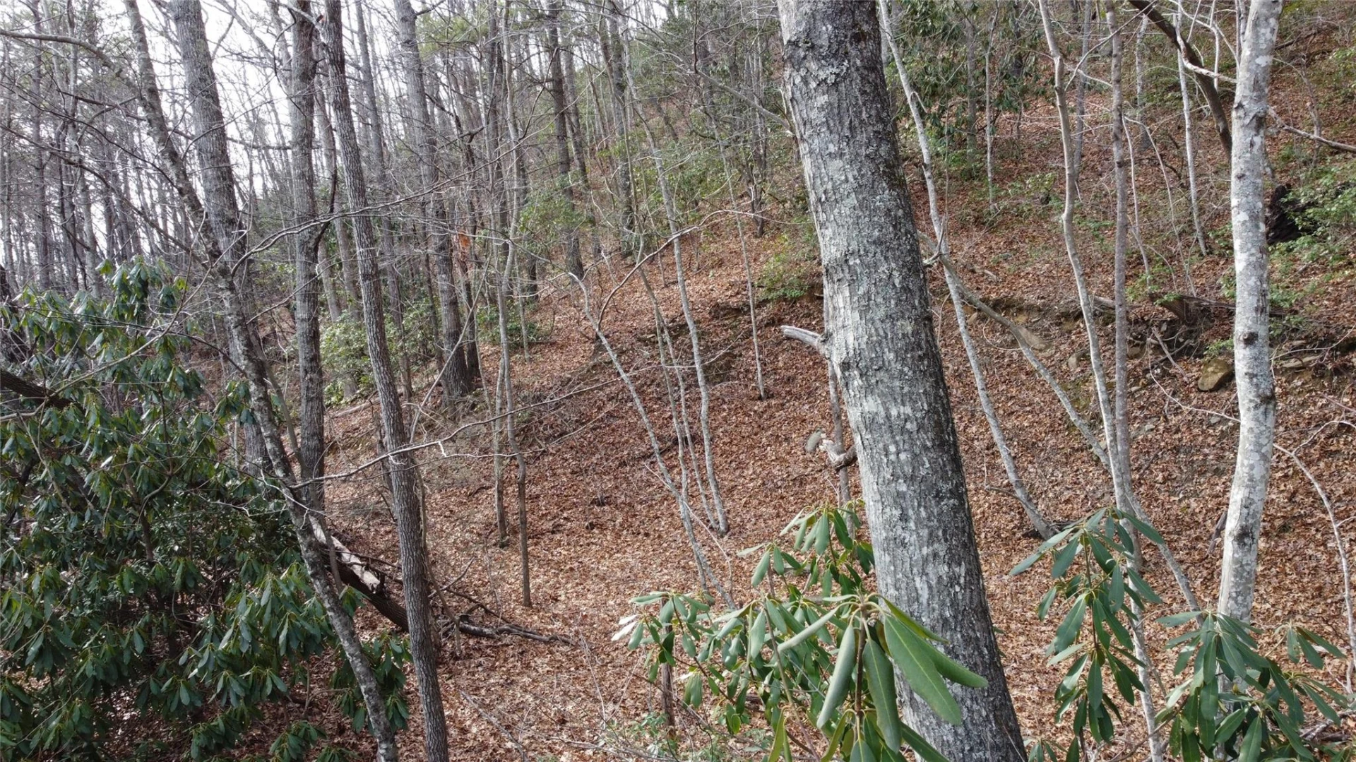 0000 Lookout Terrace Road - Photo 8