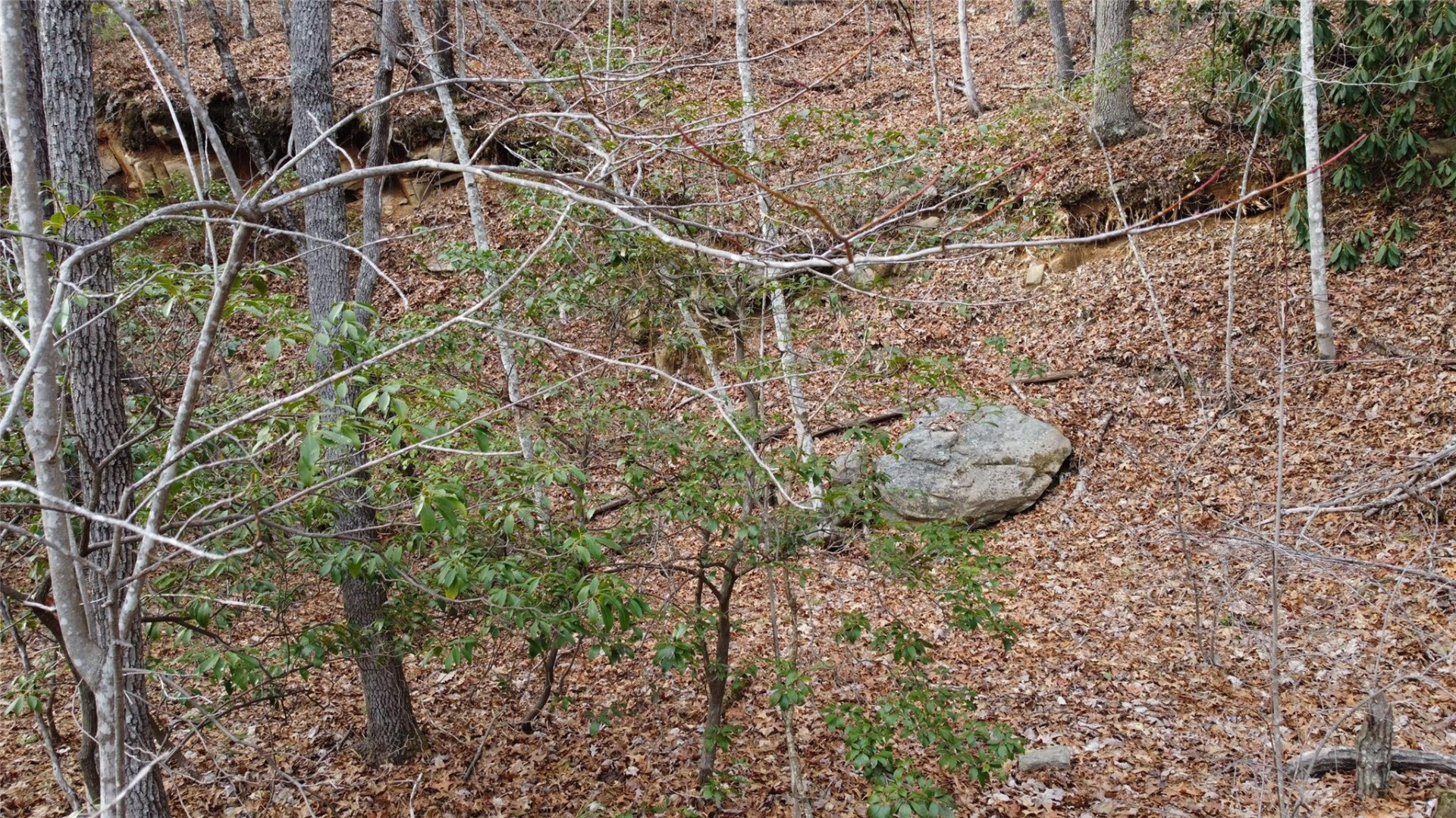 0000 Lookout Terrace Road - Photo 9