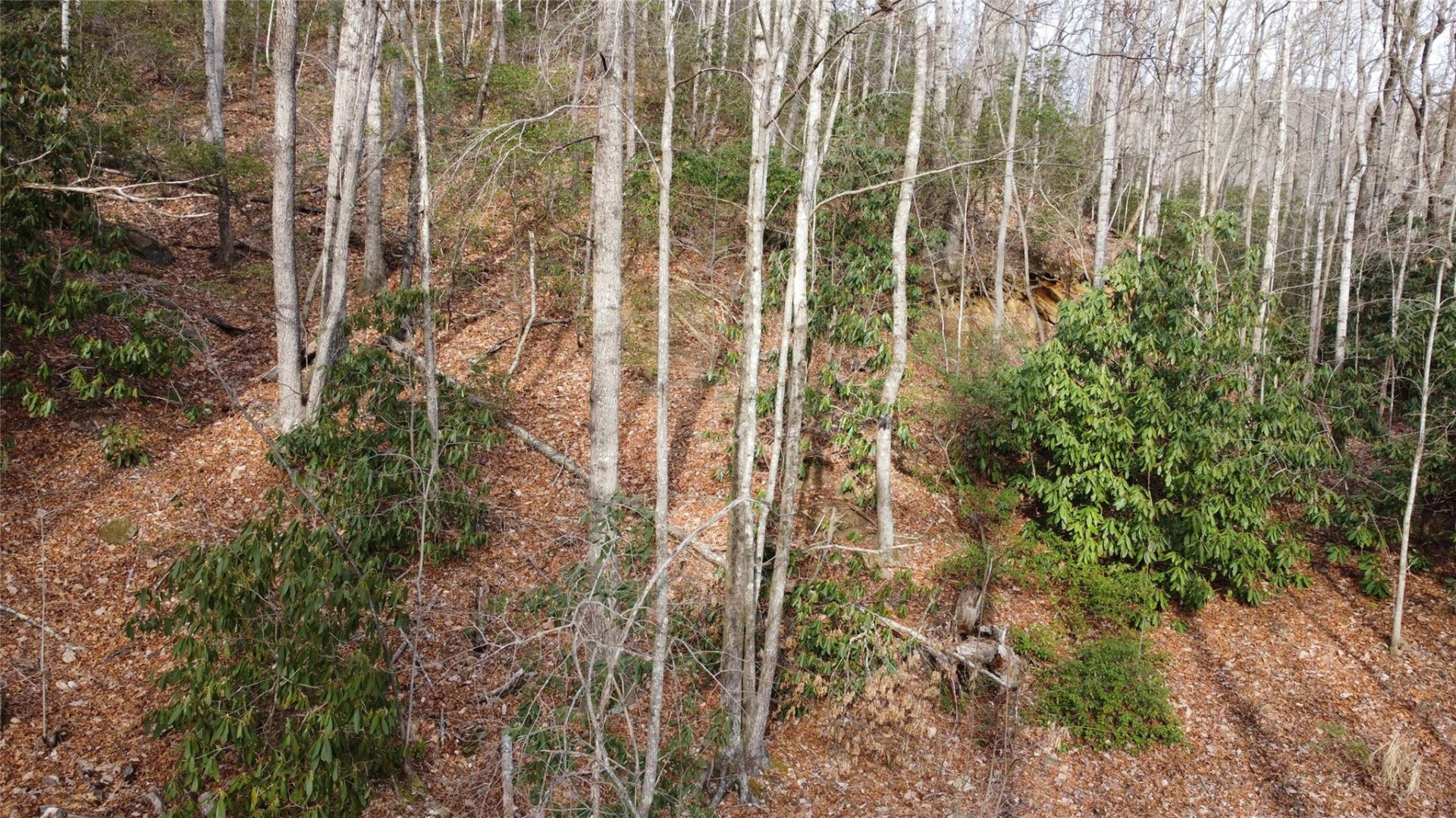 0000 Lookout Terrace Road - Photo 10