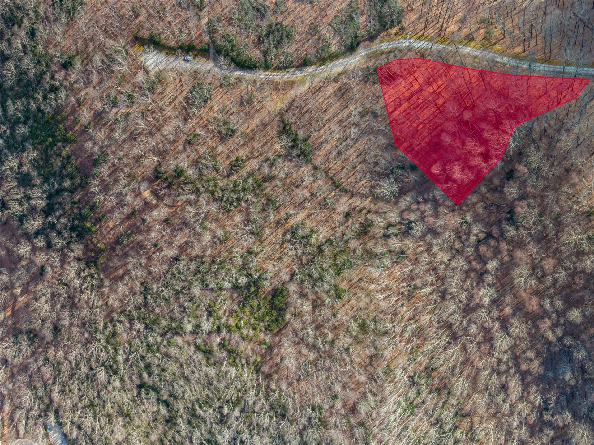 P 1&2 Panther Summit Drive - Photo 12