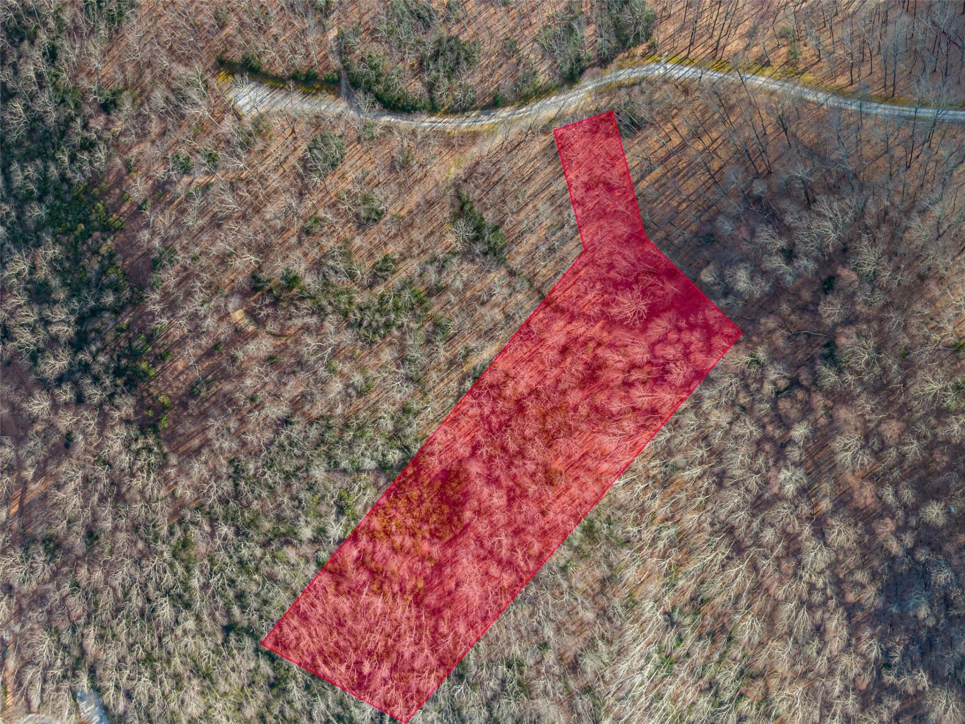 P 1&2 Panther Summit Drive - Photo 13