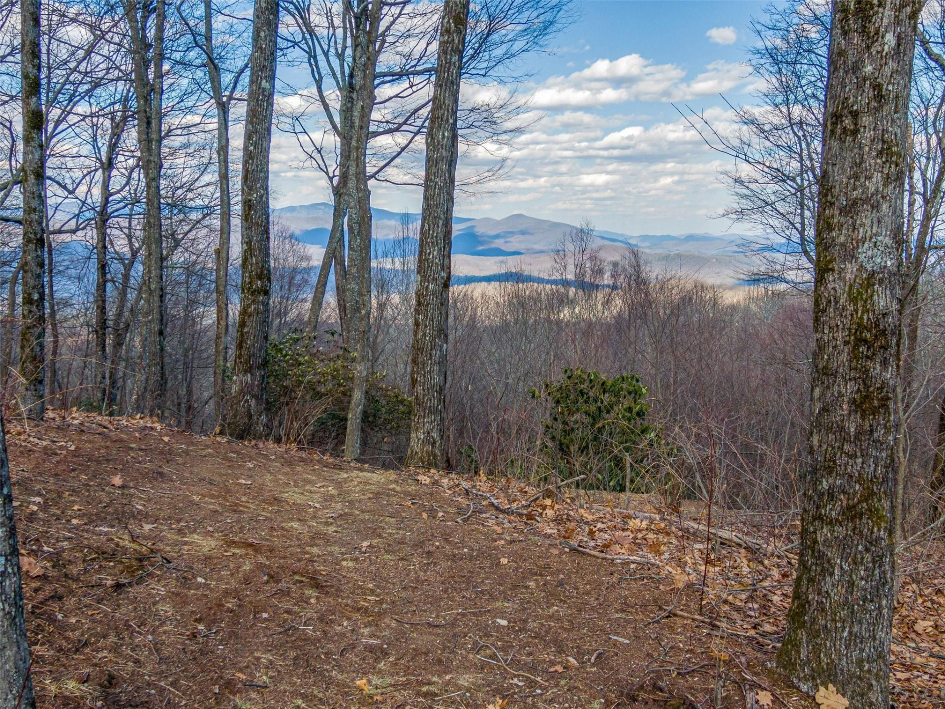 P 1&2 Panther Summit Drive - Photo 15