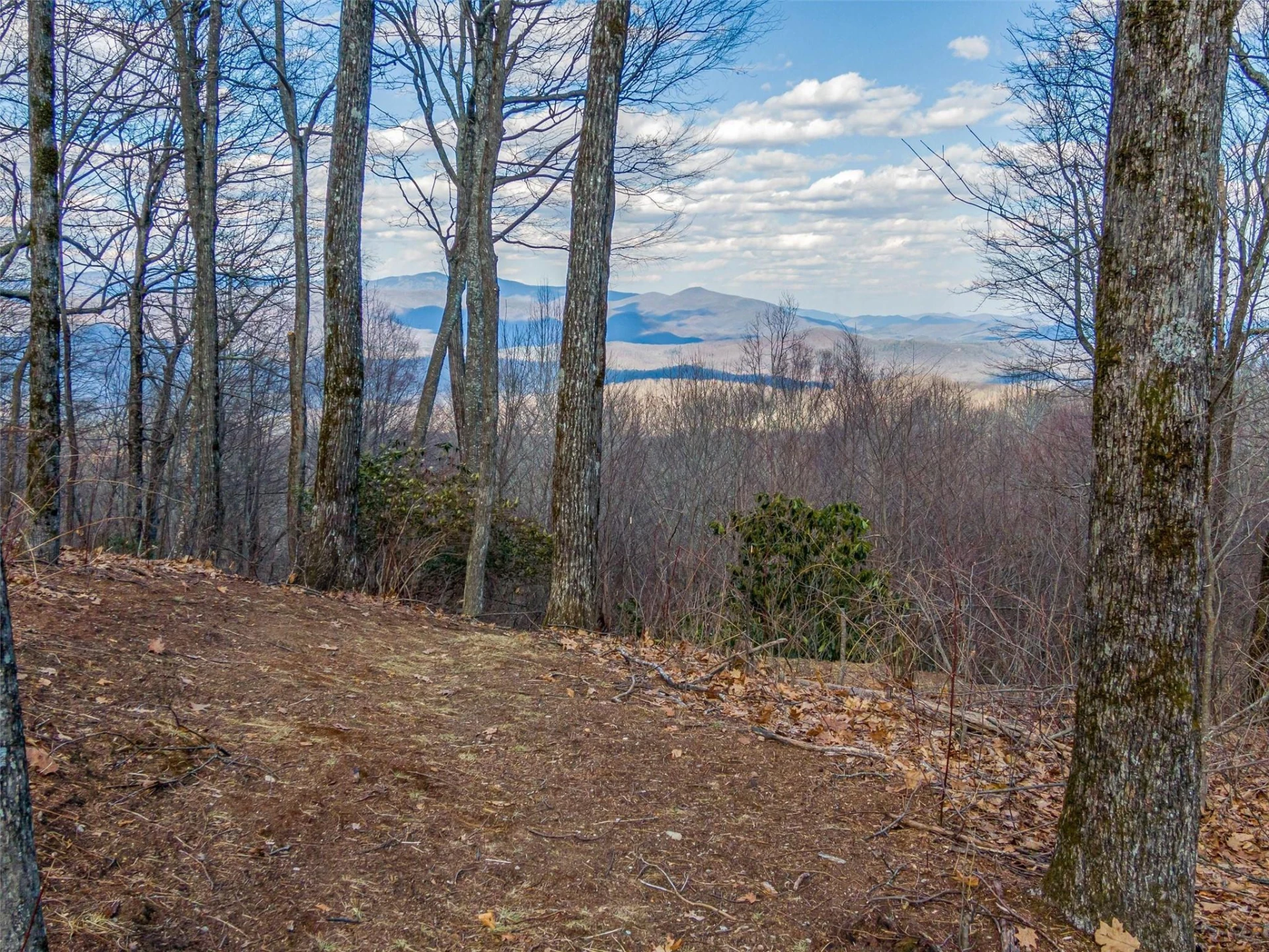 P 1&2 Panther Summit Drive - Photo 15