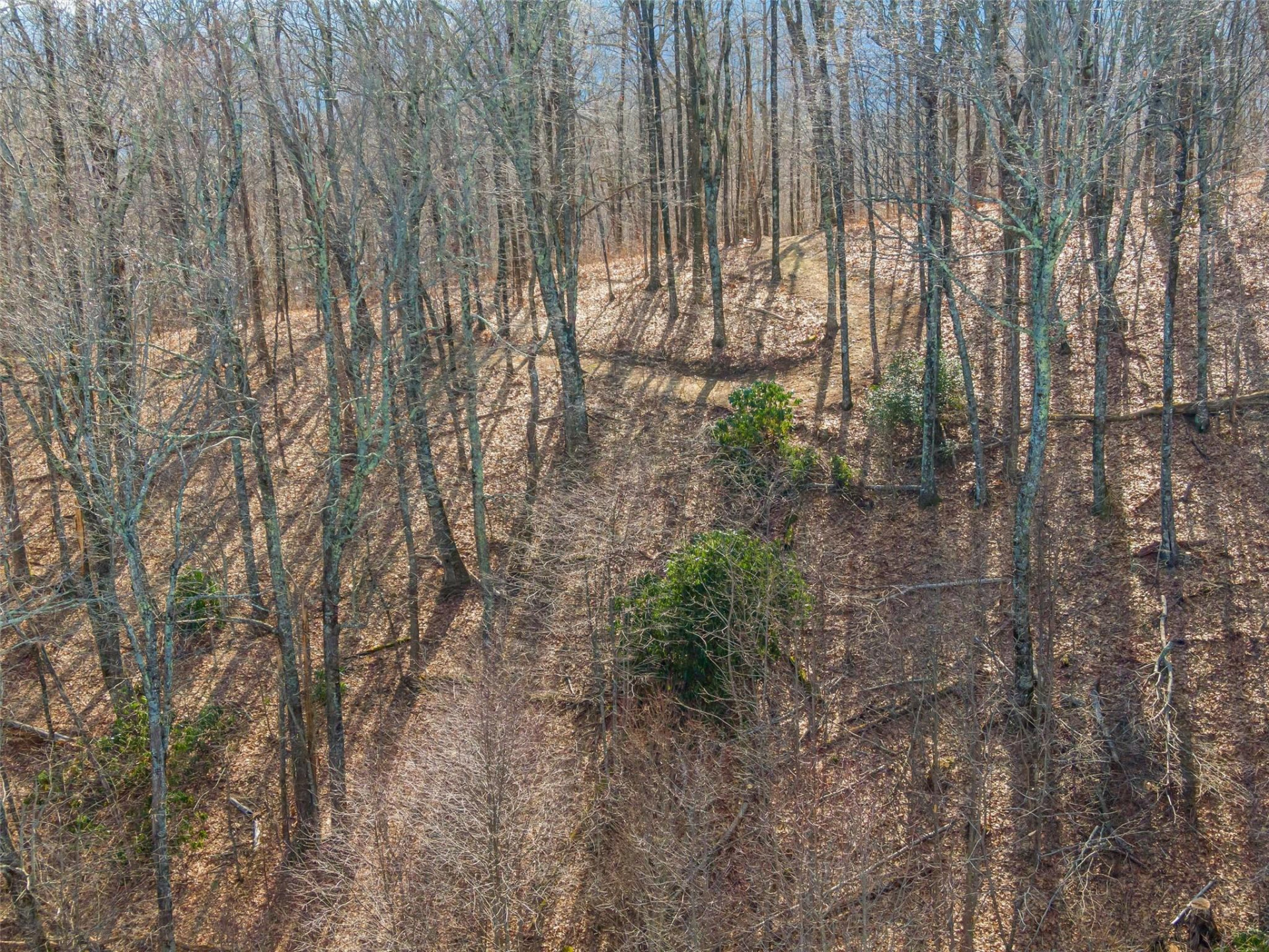 P 1&2 Panther Summit Drive - Photo 18