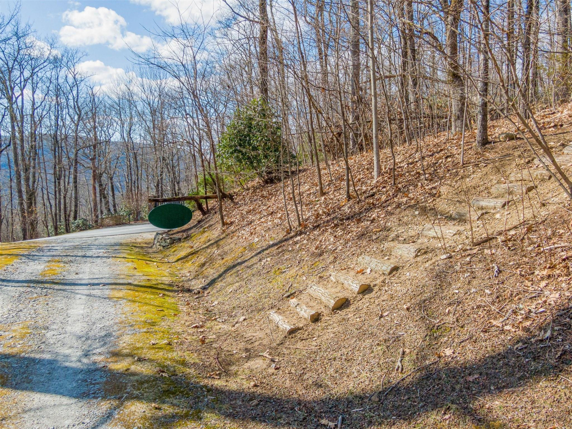 P 1&2 Panther Summit Drive - Photo 3