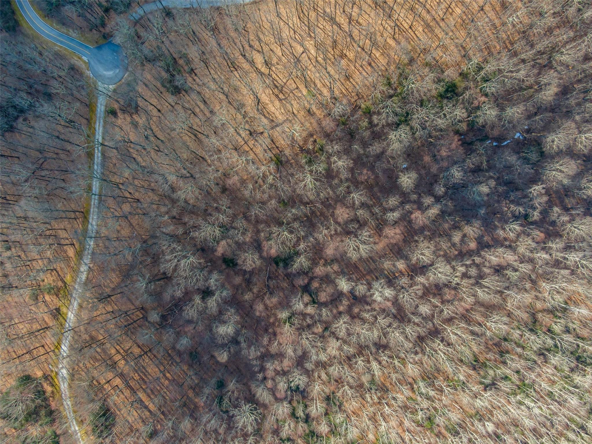 P 1&2 Panther Summit Drive - Photo 21