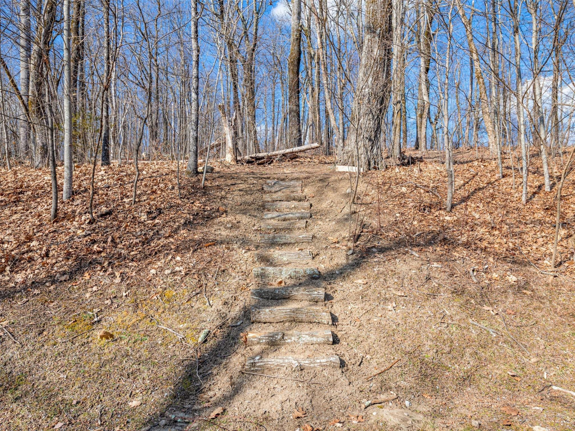 P 1&2 Panther Summit Drive - Photo 4