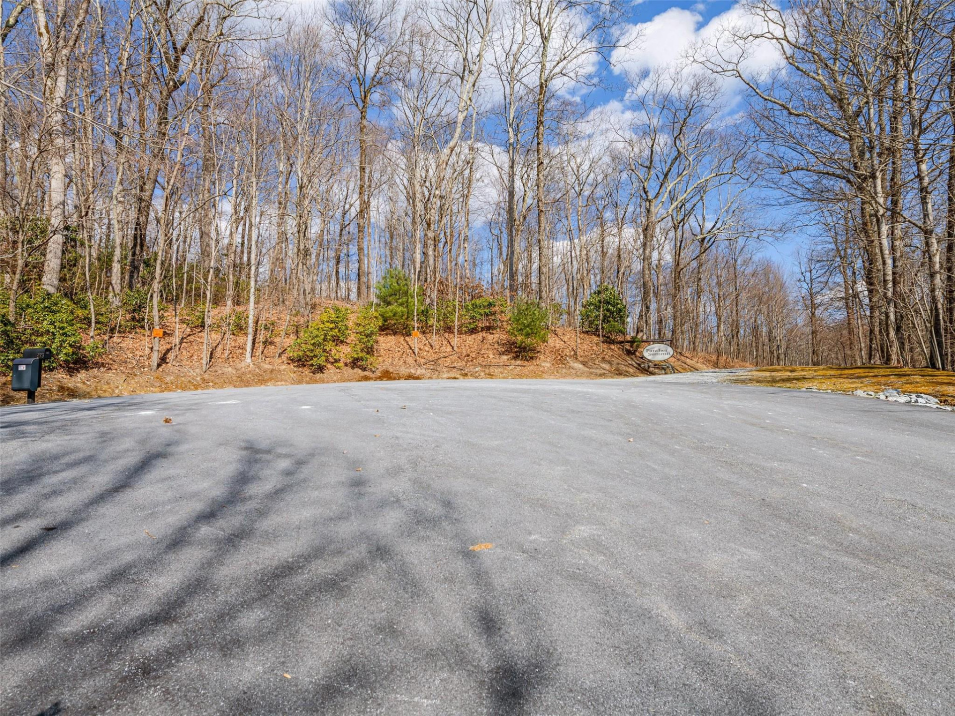 P 1&2 Panther Summit Drive - Photo 5