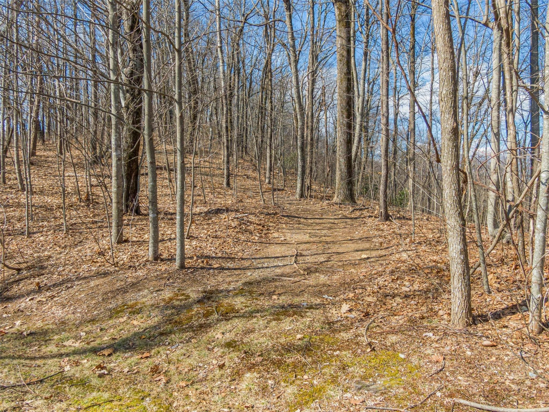 P 1&2 Panther Summit Drive - Photo 6