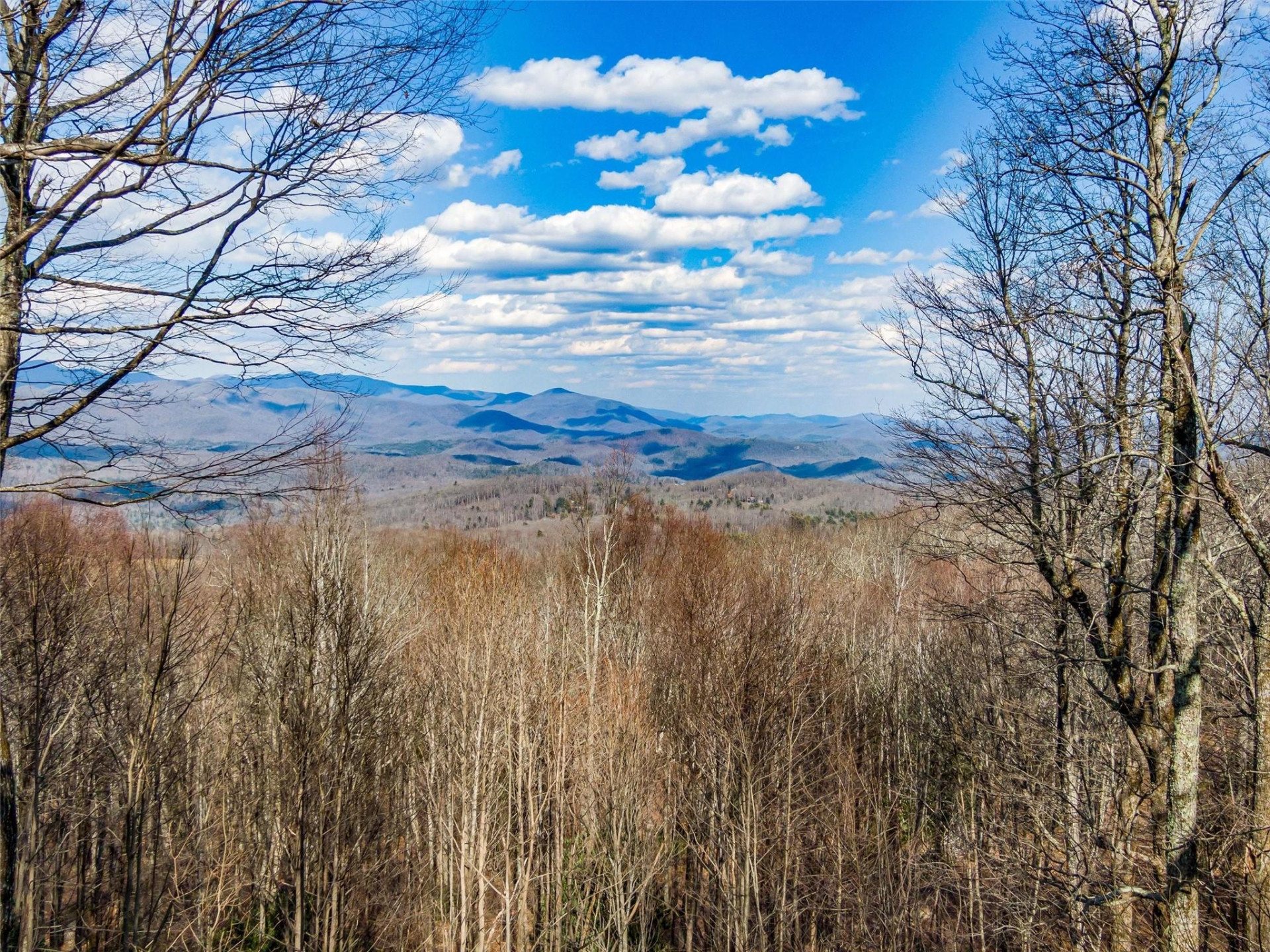 P 1&2 Panther Summit Drive - Photo 7