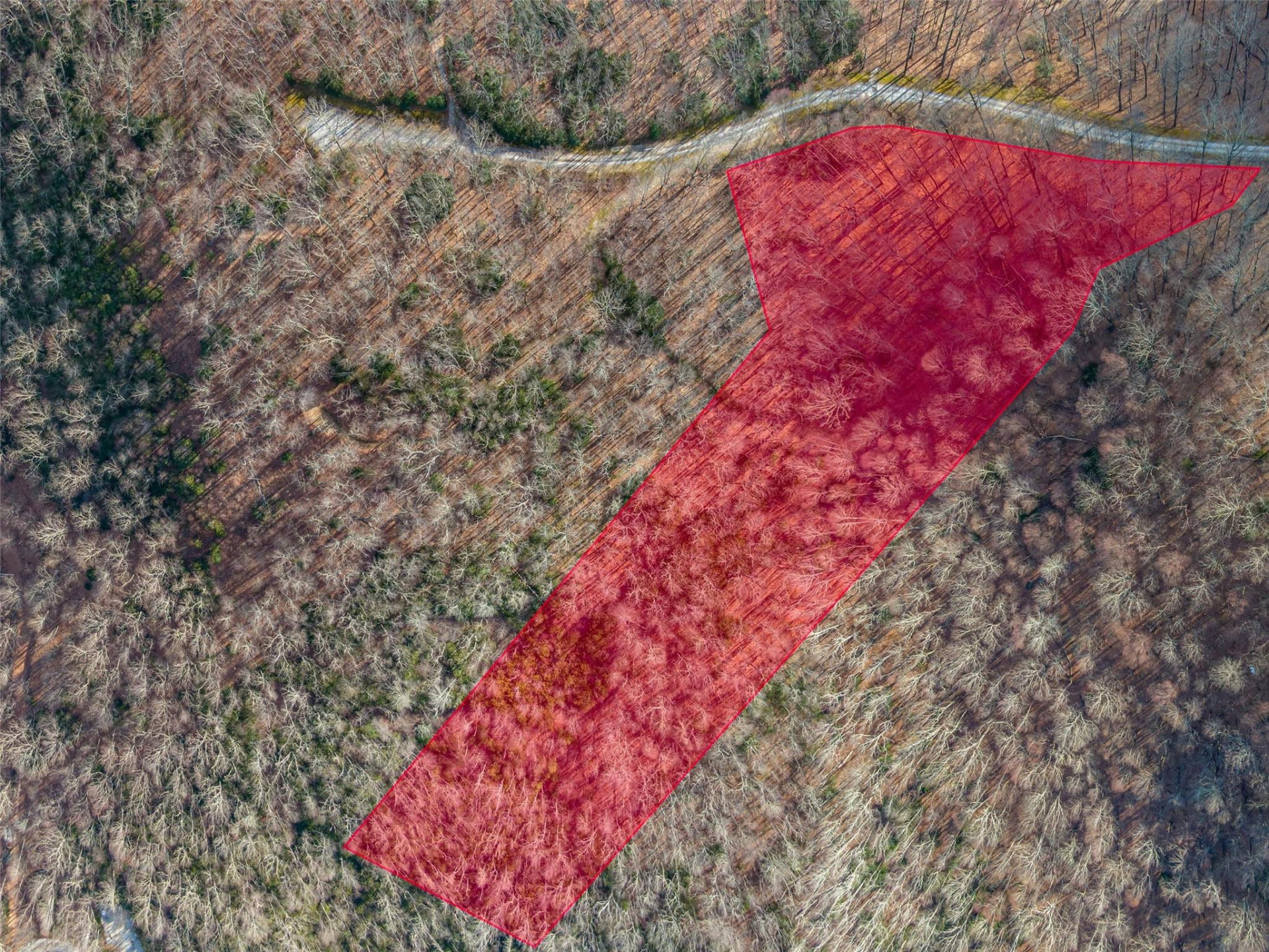 P 1&2 Panther Summit Drive - Photo 9