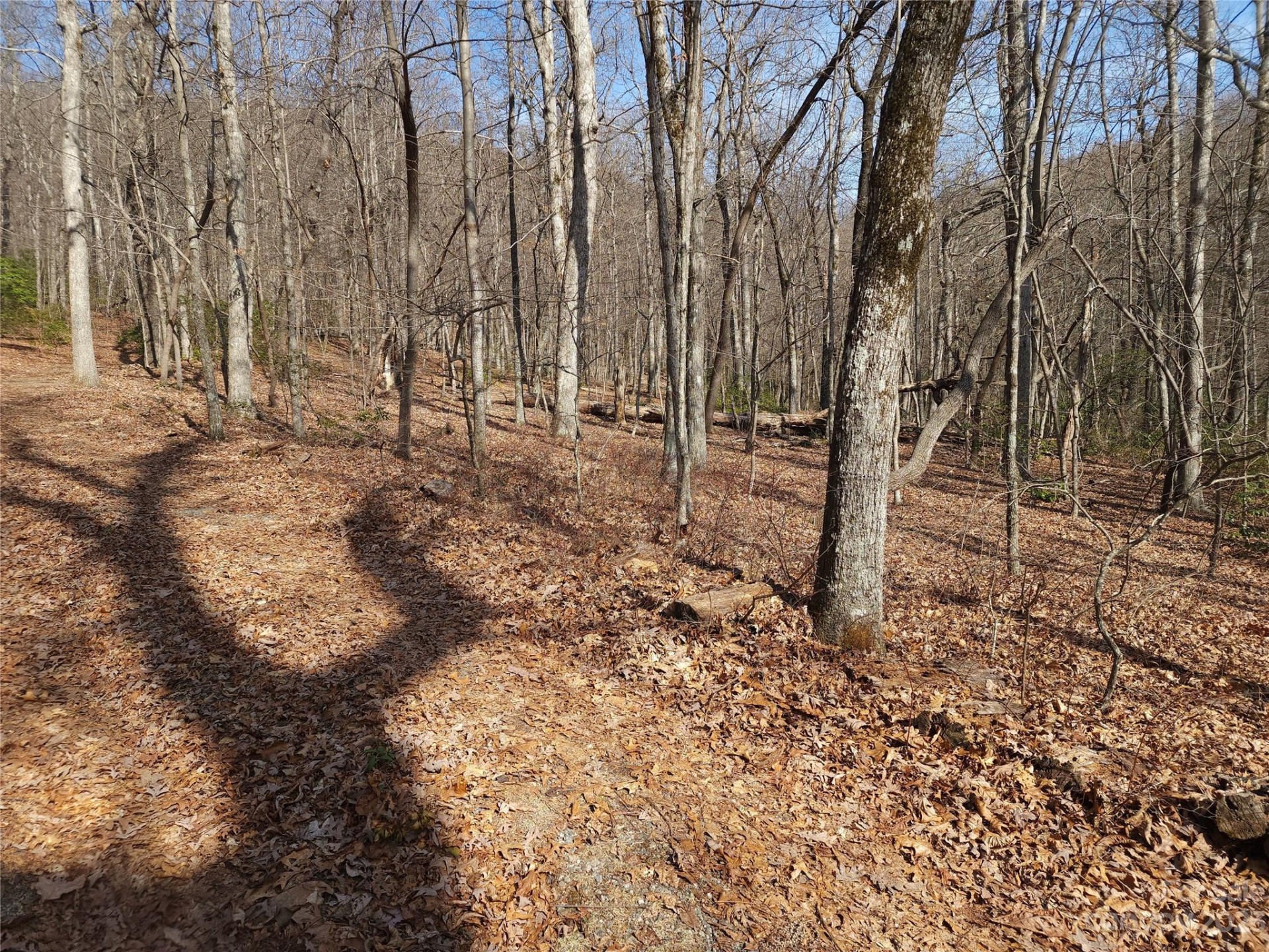 Lot 77 Three Bridges Drive - Photo 14