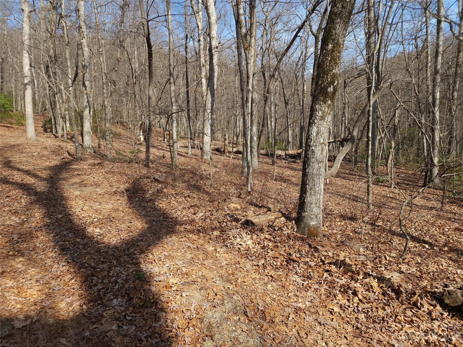 Lot 77 Three Bridges Drive - Photo 14