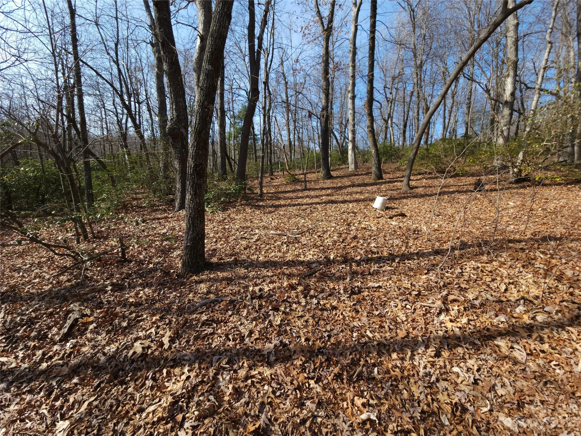 Lot 77 Three Bridges Drive - Photo 16