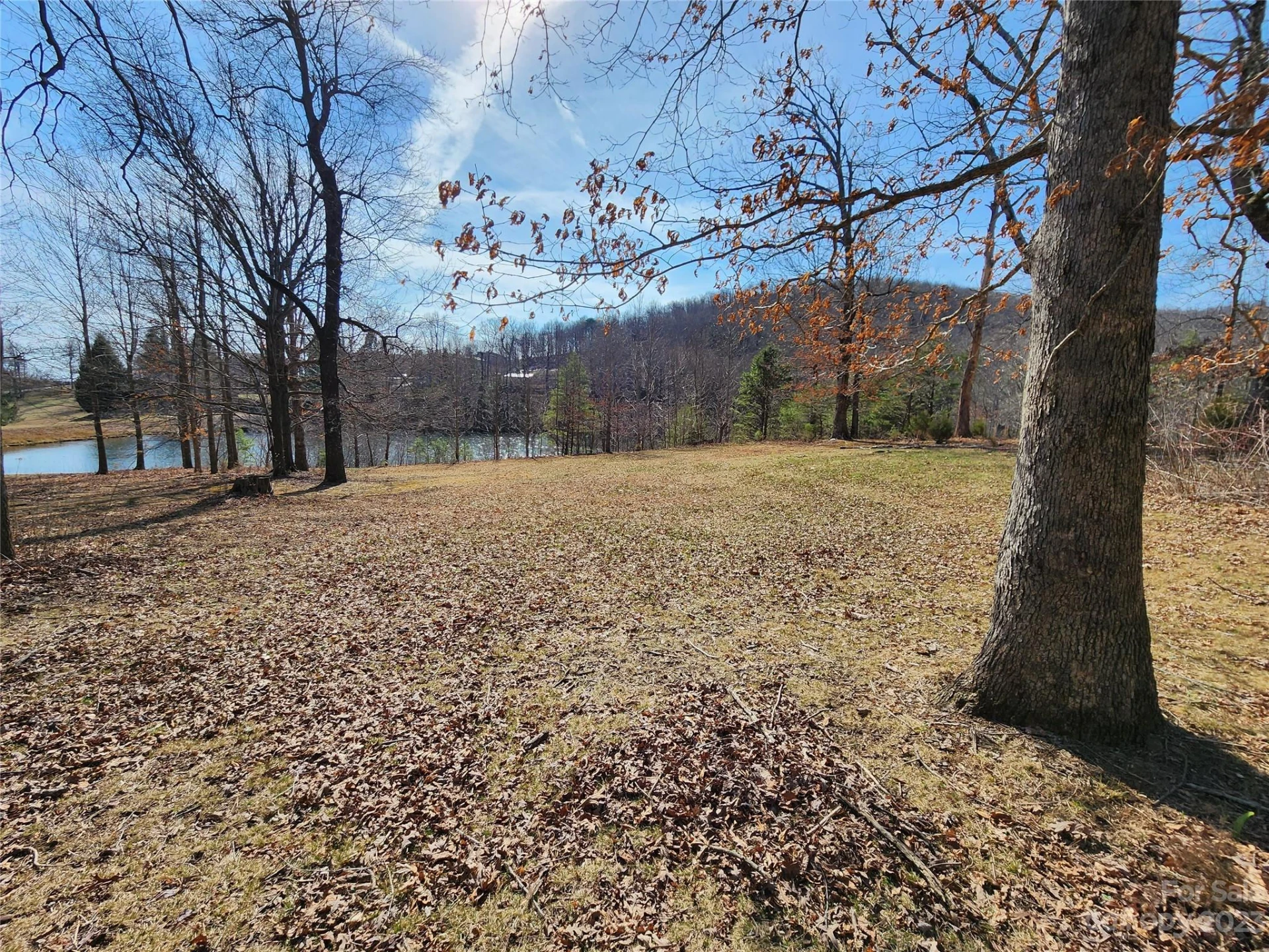 Lot 77 Three Bridges Drive - Photo 4