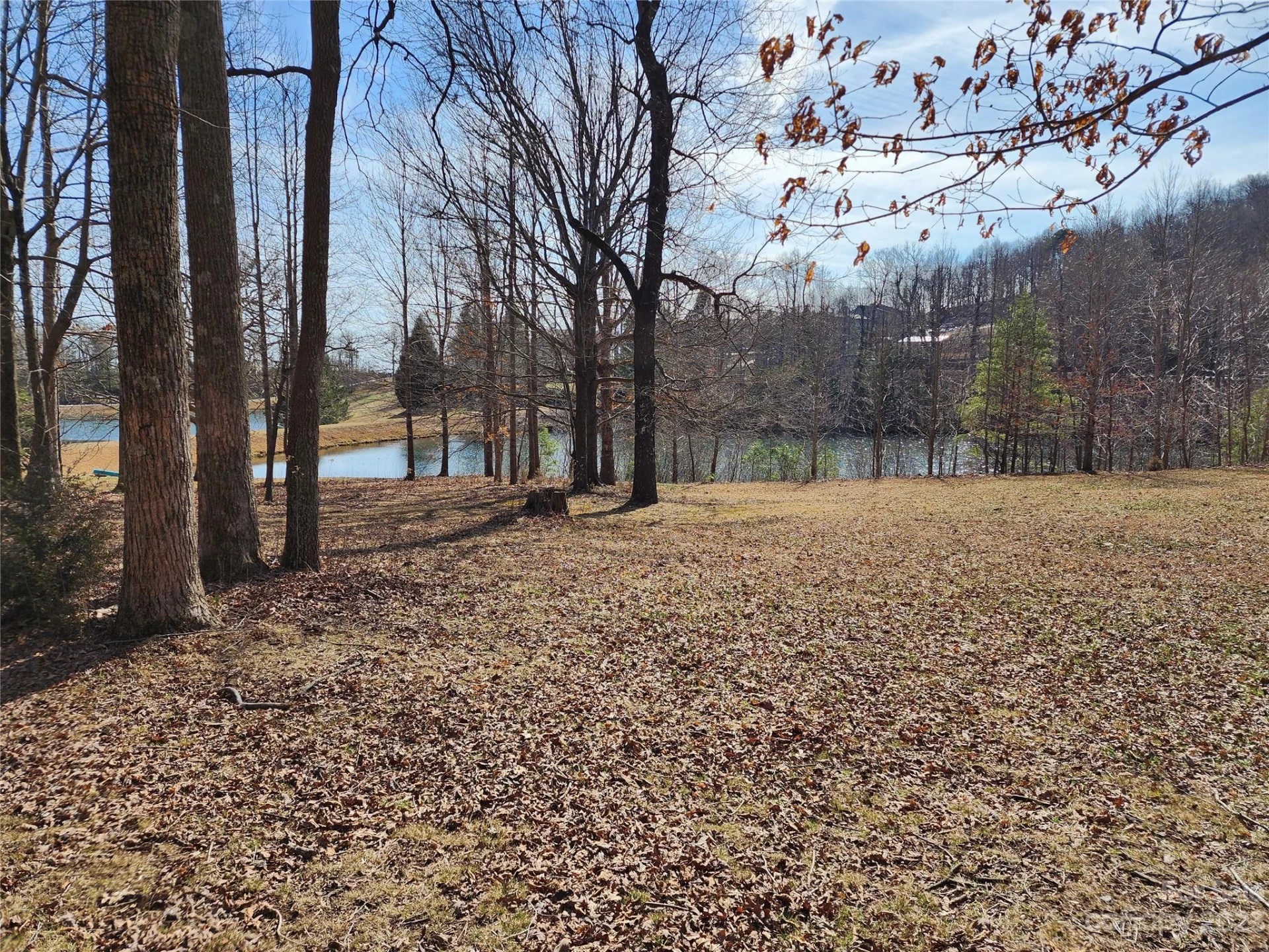Lot 77 Three Bridges Drive - Photo 6