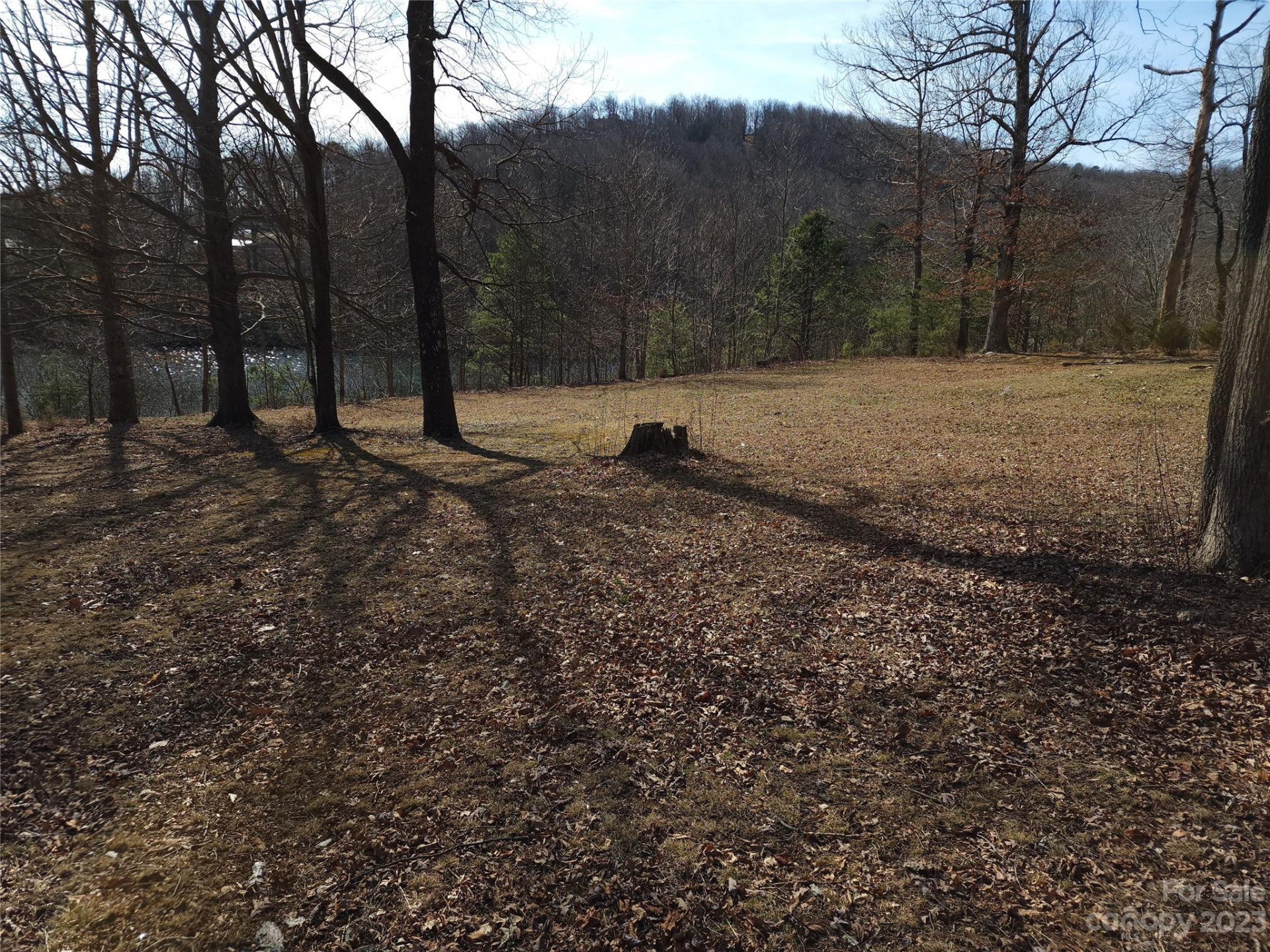 Lot 77 Three Bridges Drive - Photo 9