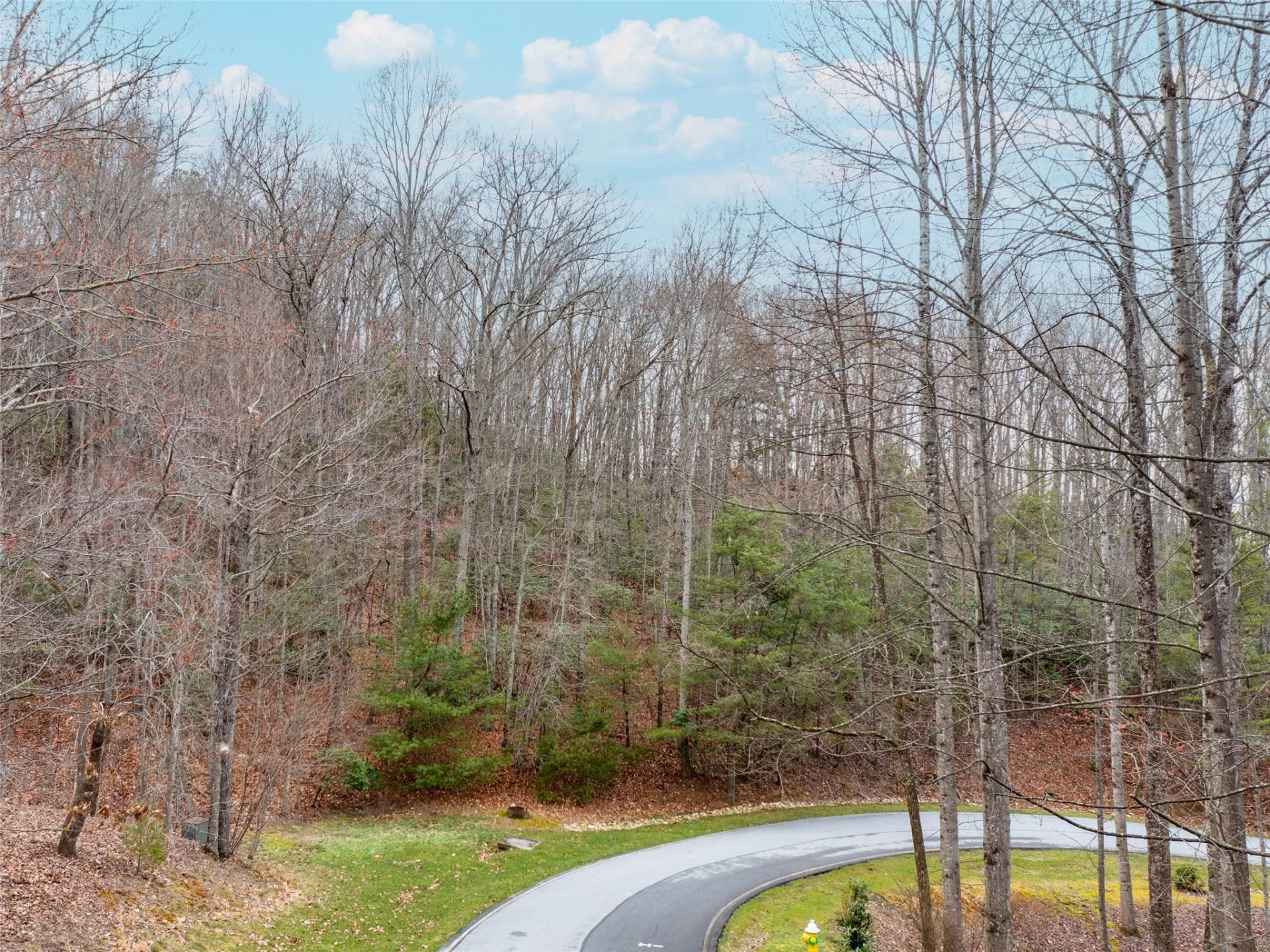 214 Chimney Crossing #92 - Photo 11