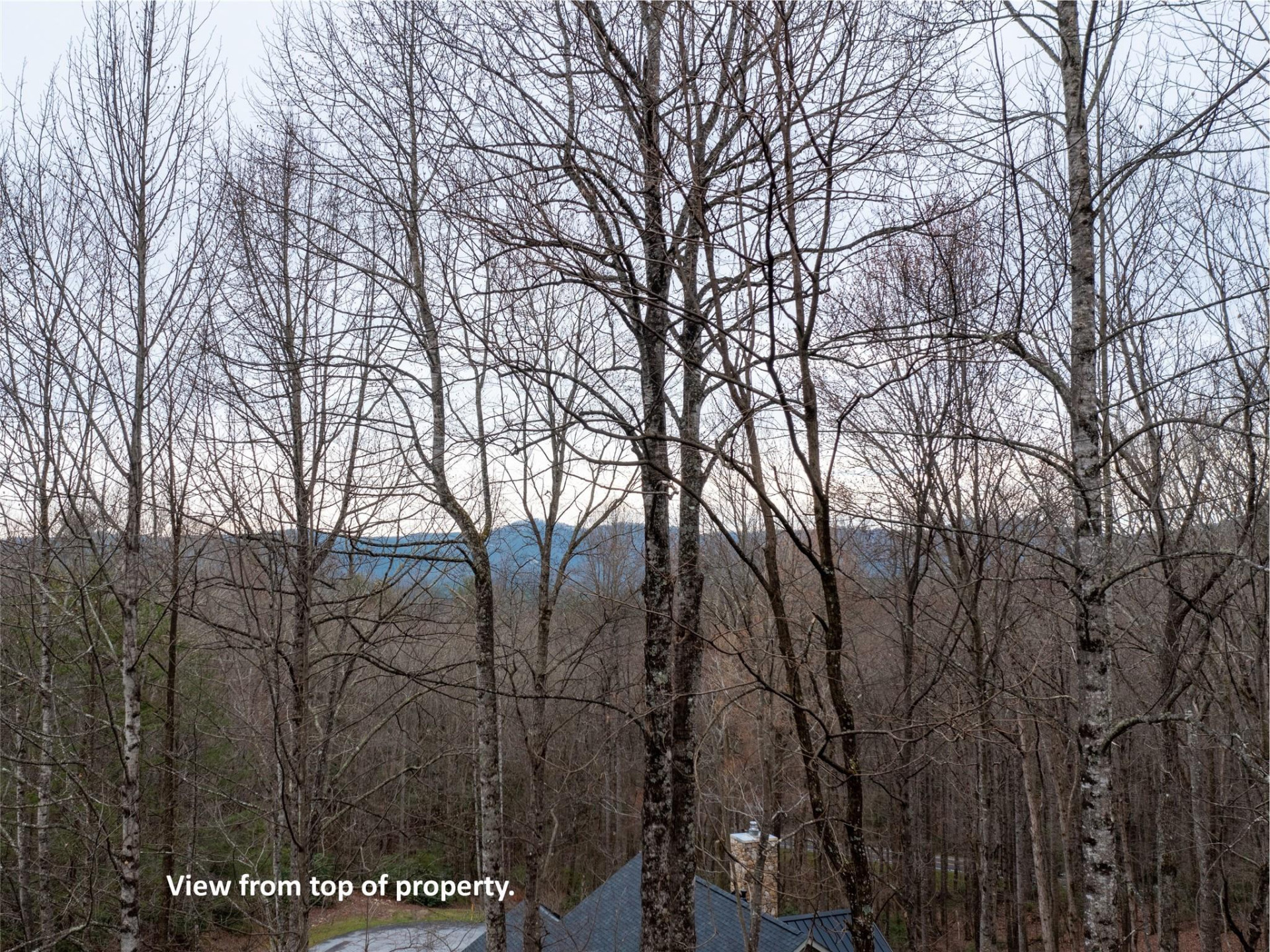 214 Chimney Crossing #92 - Photo 12