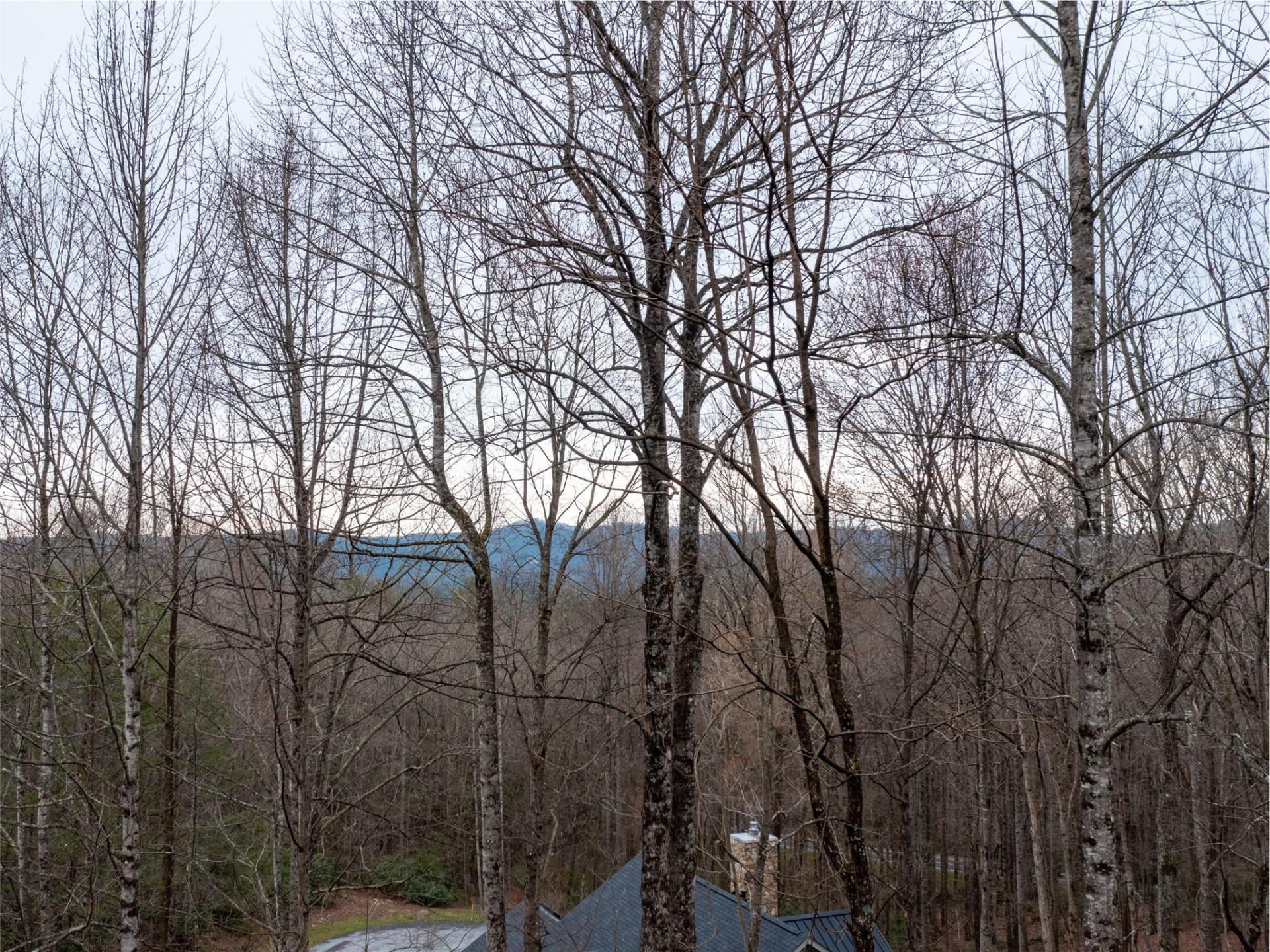 214 Chimney Crossing #92 - Photo 13