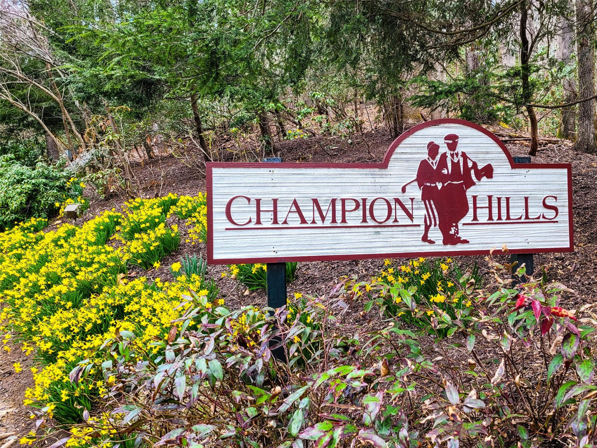 214 Chimney Crossing #92 - Photo 17