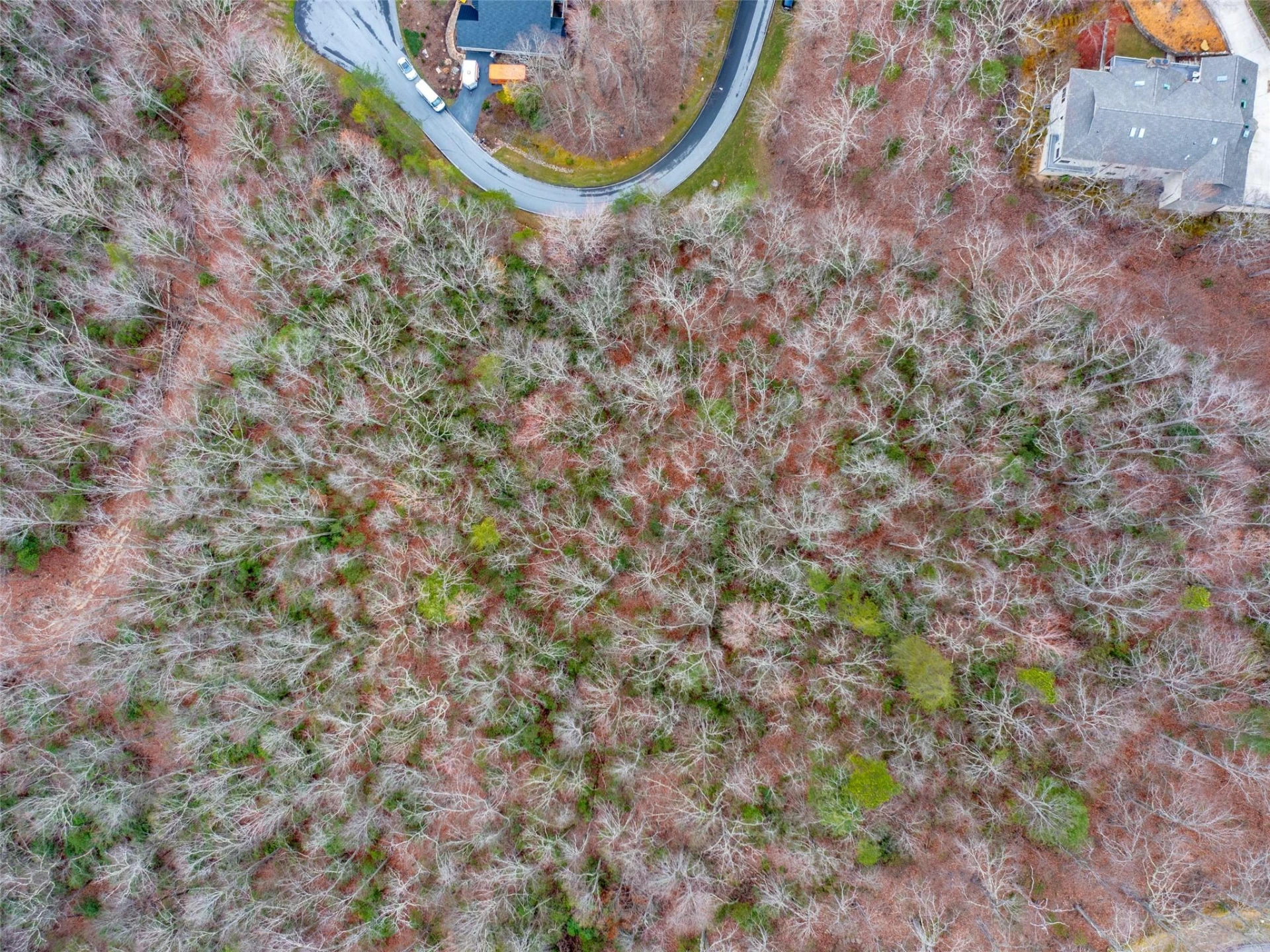 214 Chimney Crossing #92 - Photo 6
