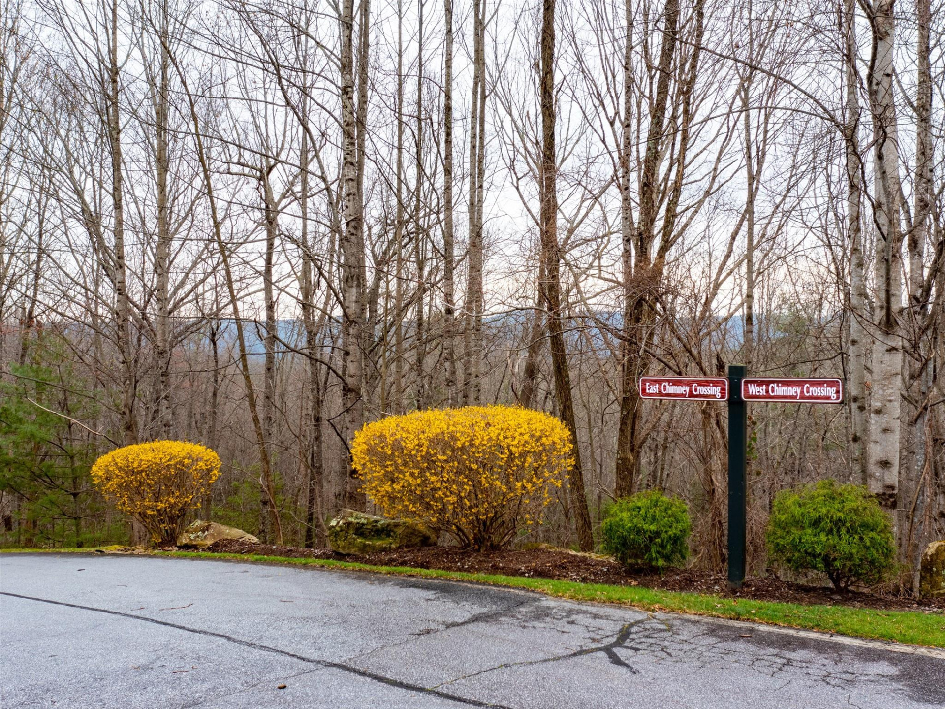 214 Chimney Crossing #92 - Photo 7