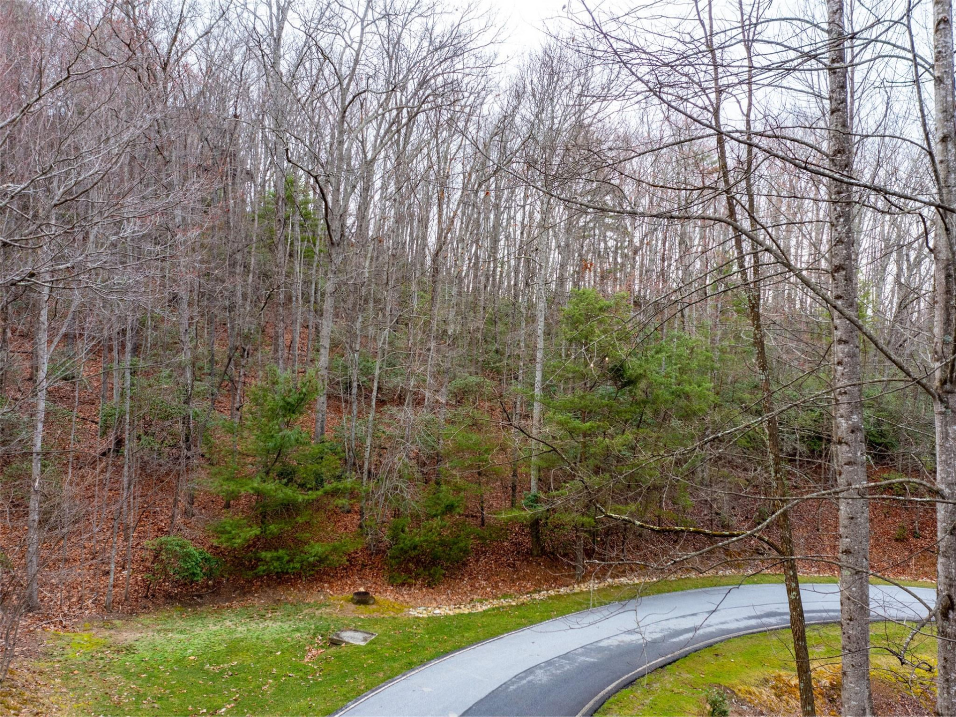 214 Chimney Crossing #92 - Photo 9