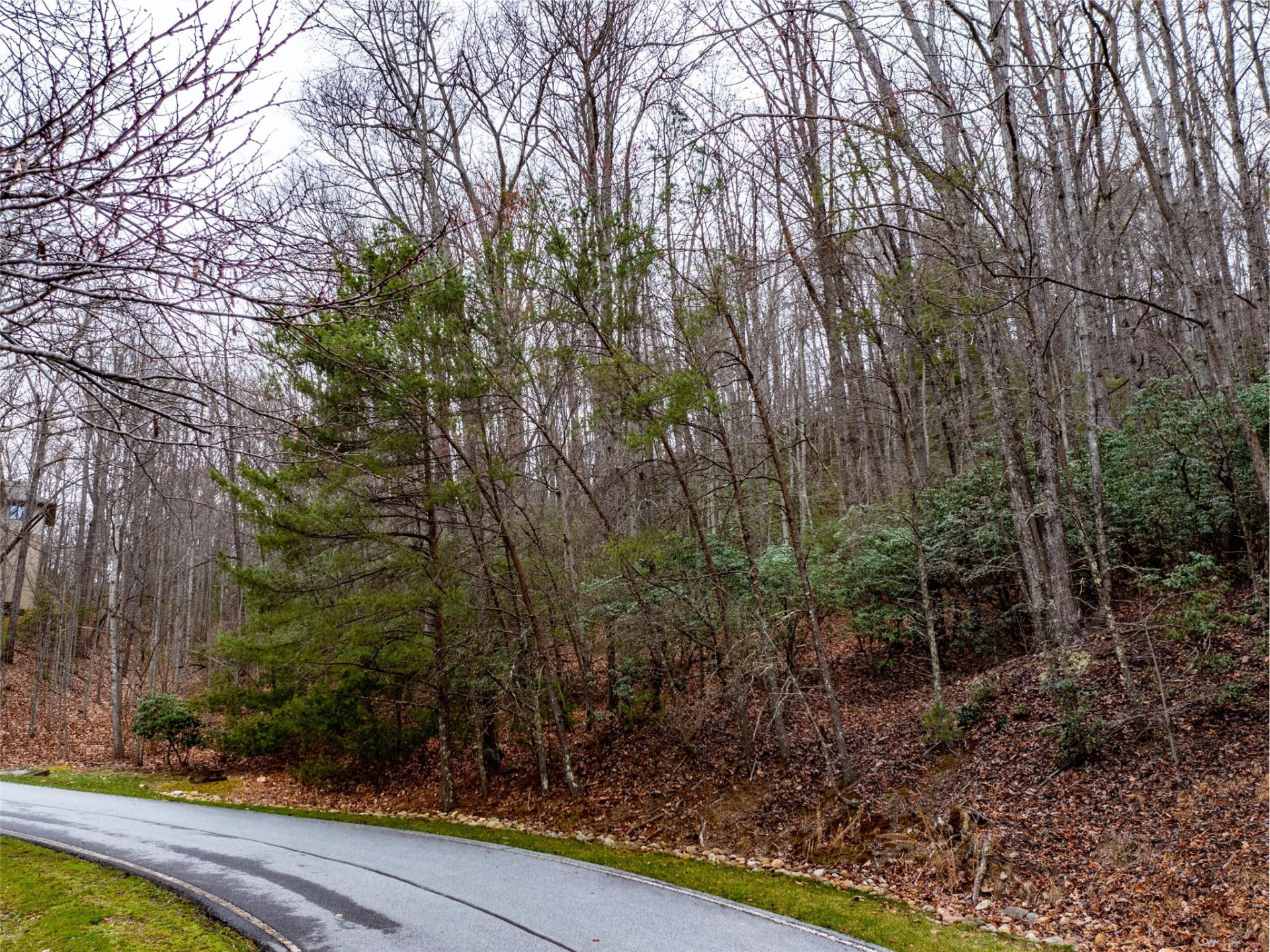 214 Chimney Crossing #92 - Photo 10