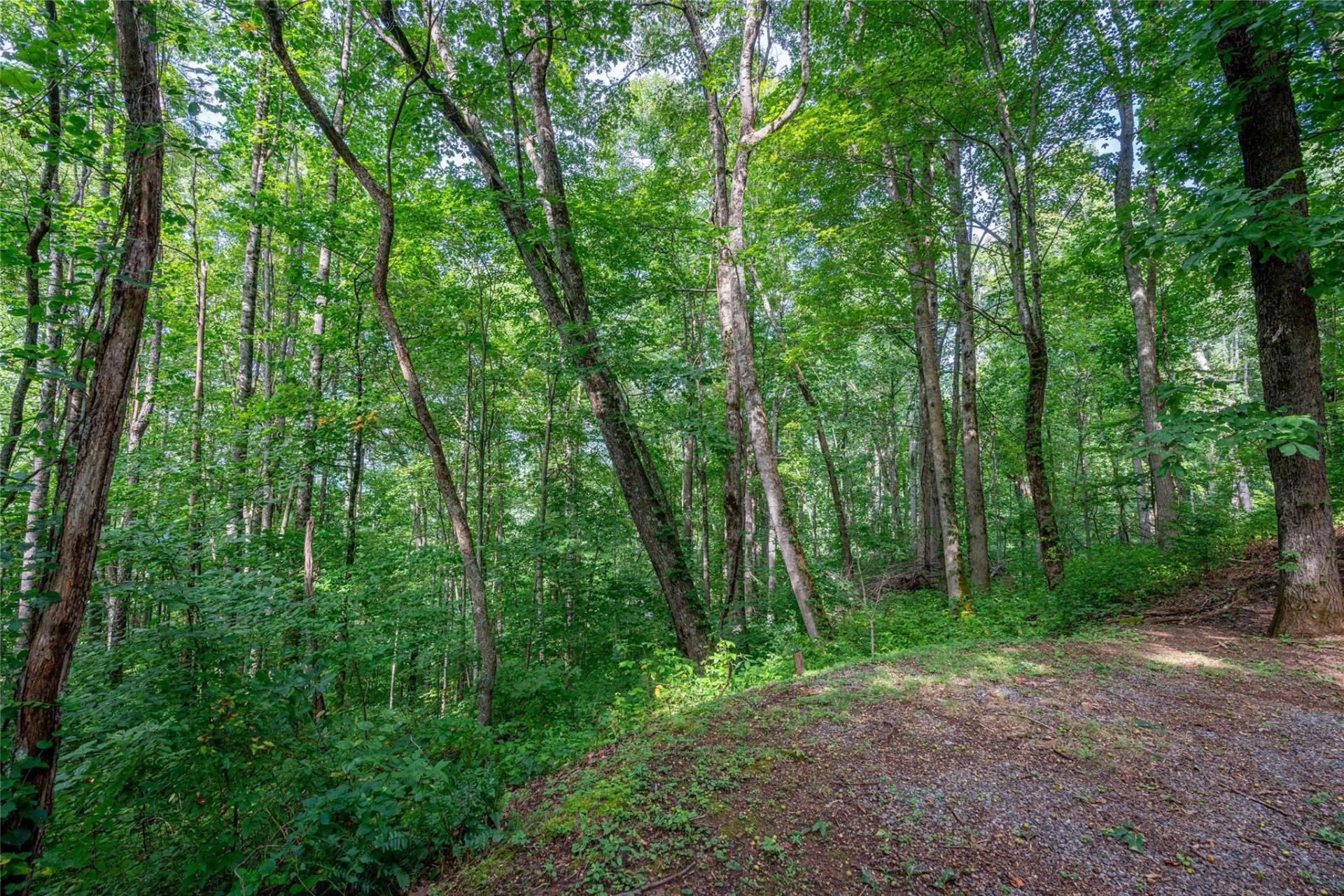 8 Resurrection Lane #8 - Photo 3