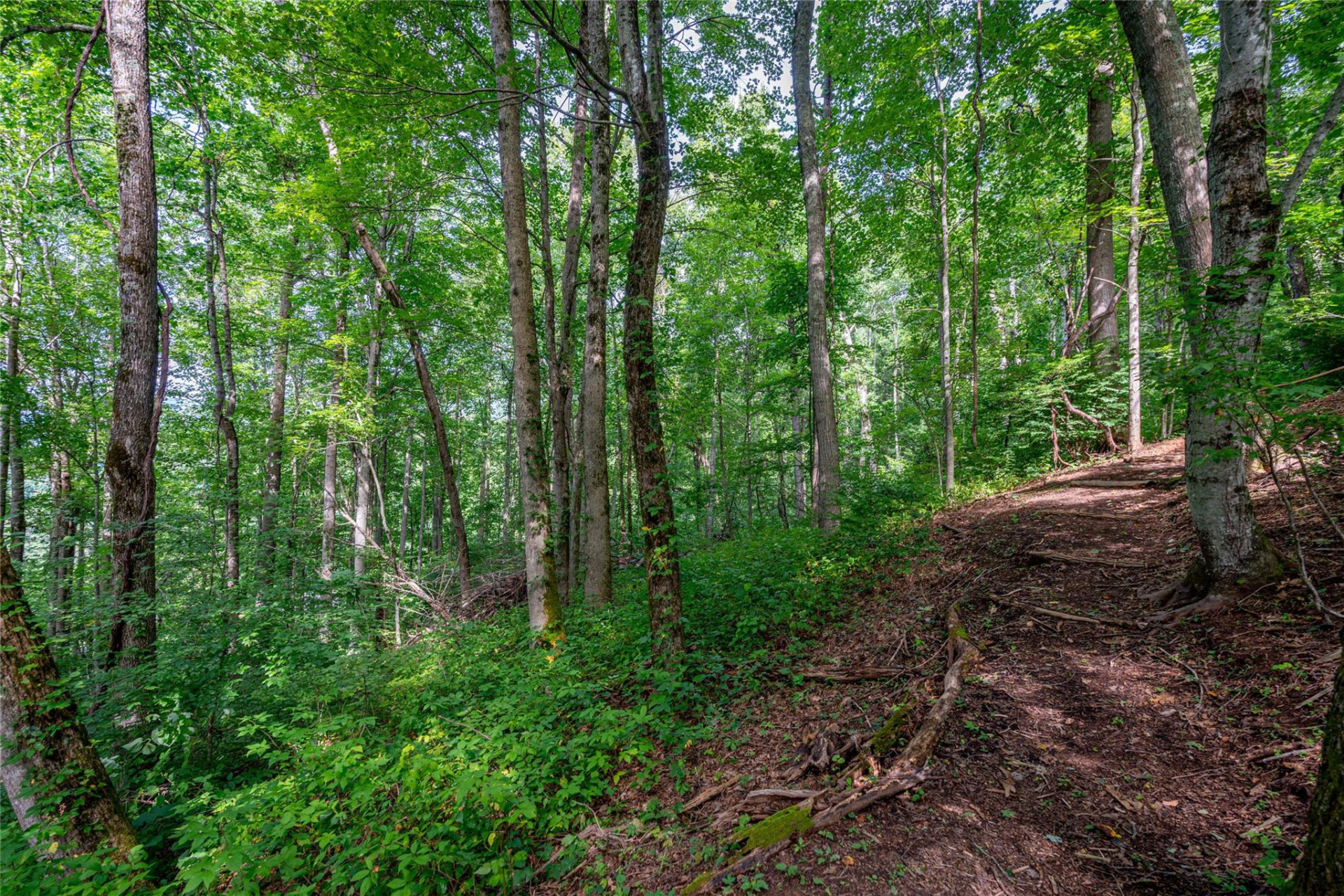 8 Resurrection Lane #8 - Photo 8