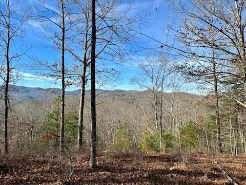 305 Raccoon Run #25 - Photo 2