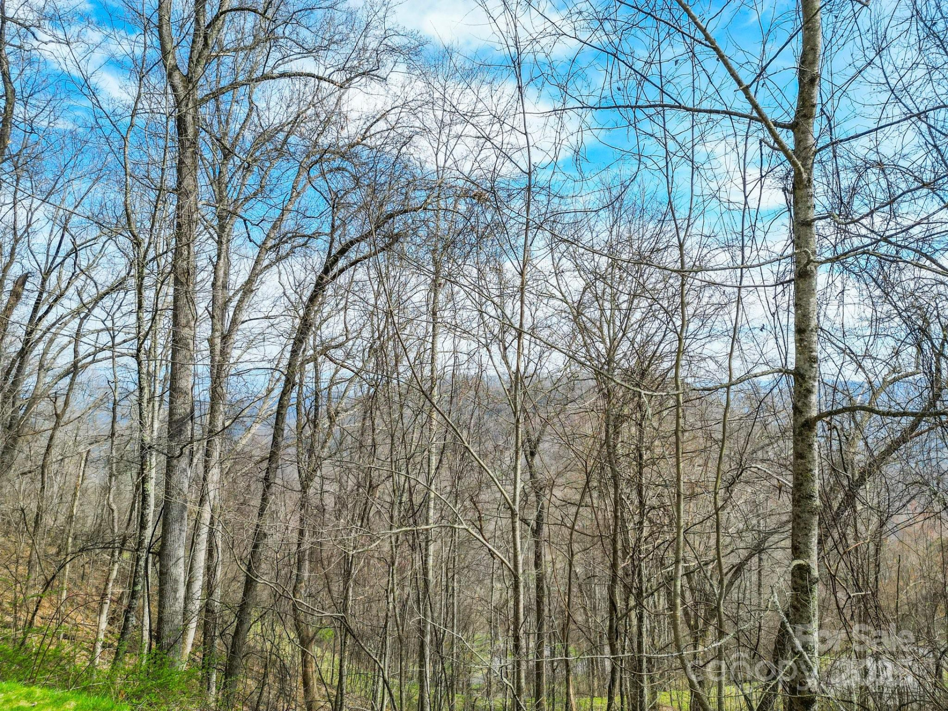 580 Freemont Drive #80 - Photo 35