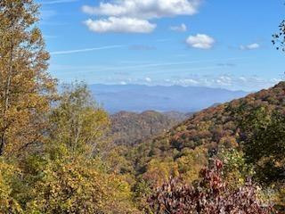 580 Freemont Drive #80 - Photo 40