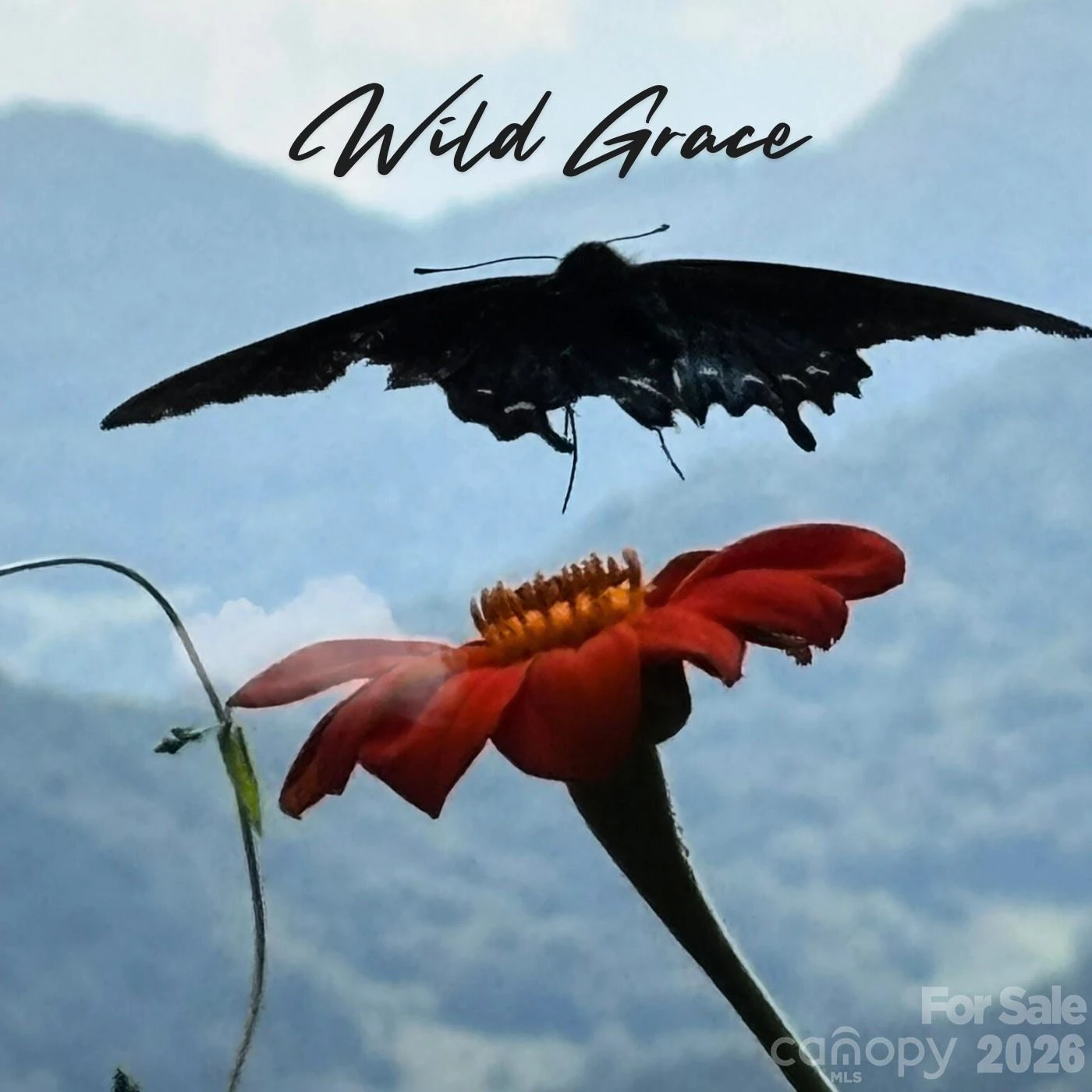 580 Freemont Drive #80 - Photo 47