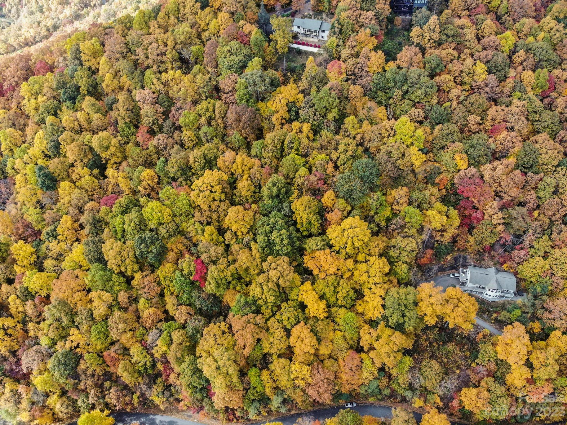 26 Great Aspen Way - Photo 13