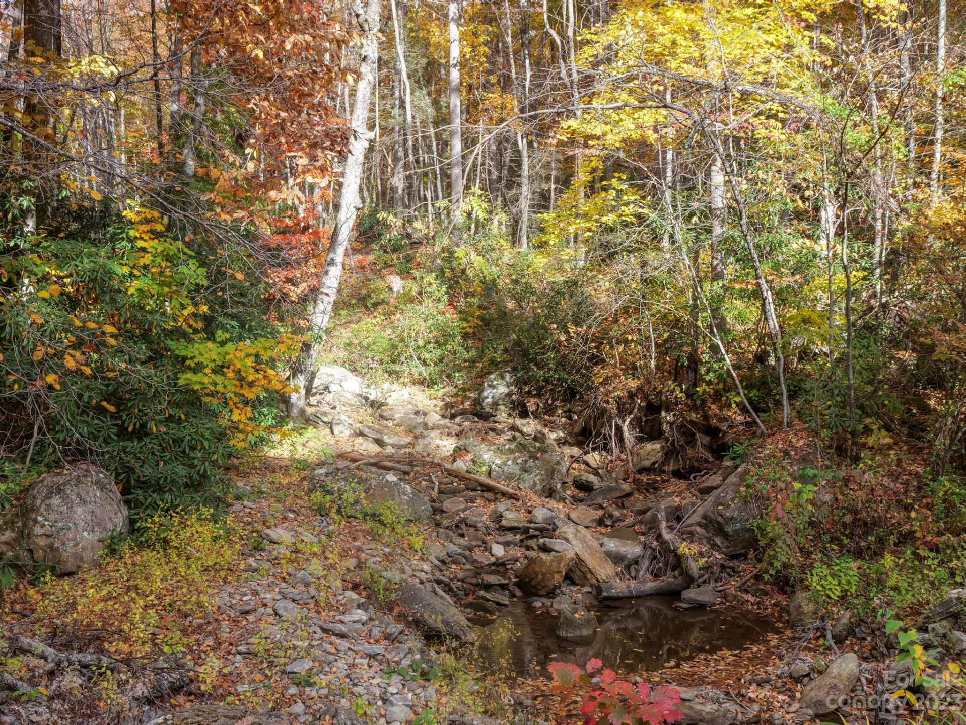 26 Great Aspen Way - Photo 15