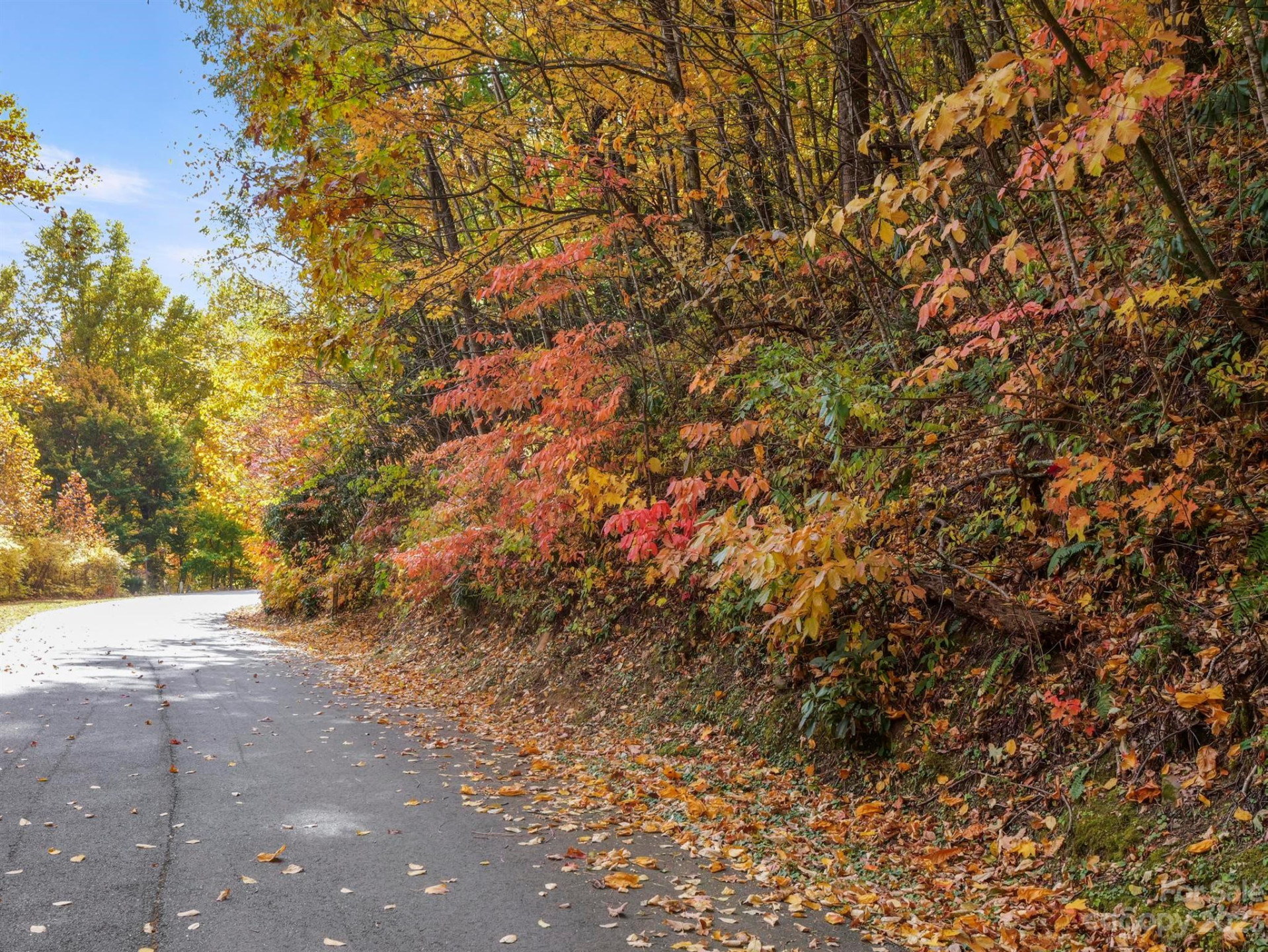 26 Great Aspen Way - Photo 4