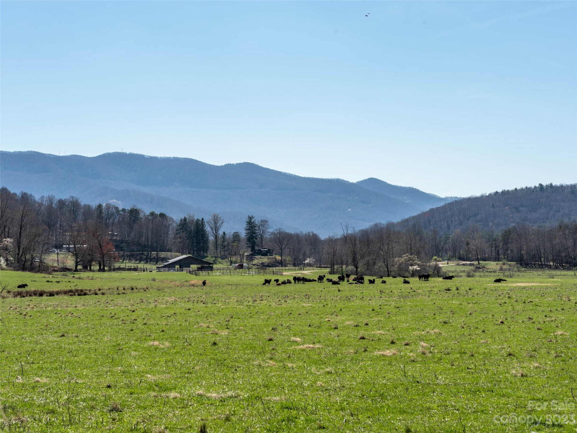 26 Great Aspen Way - Photo 5