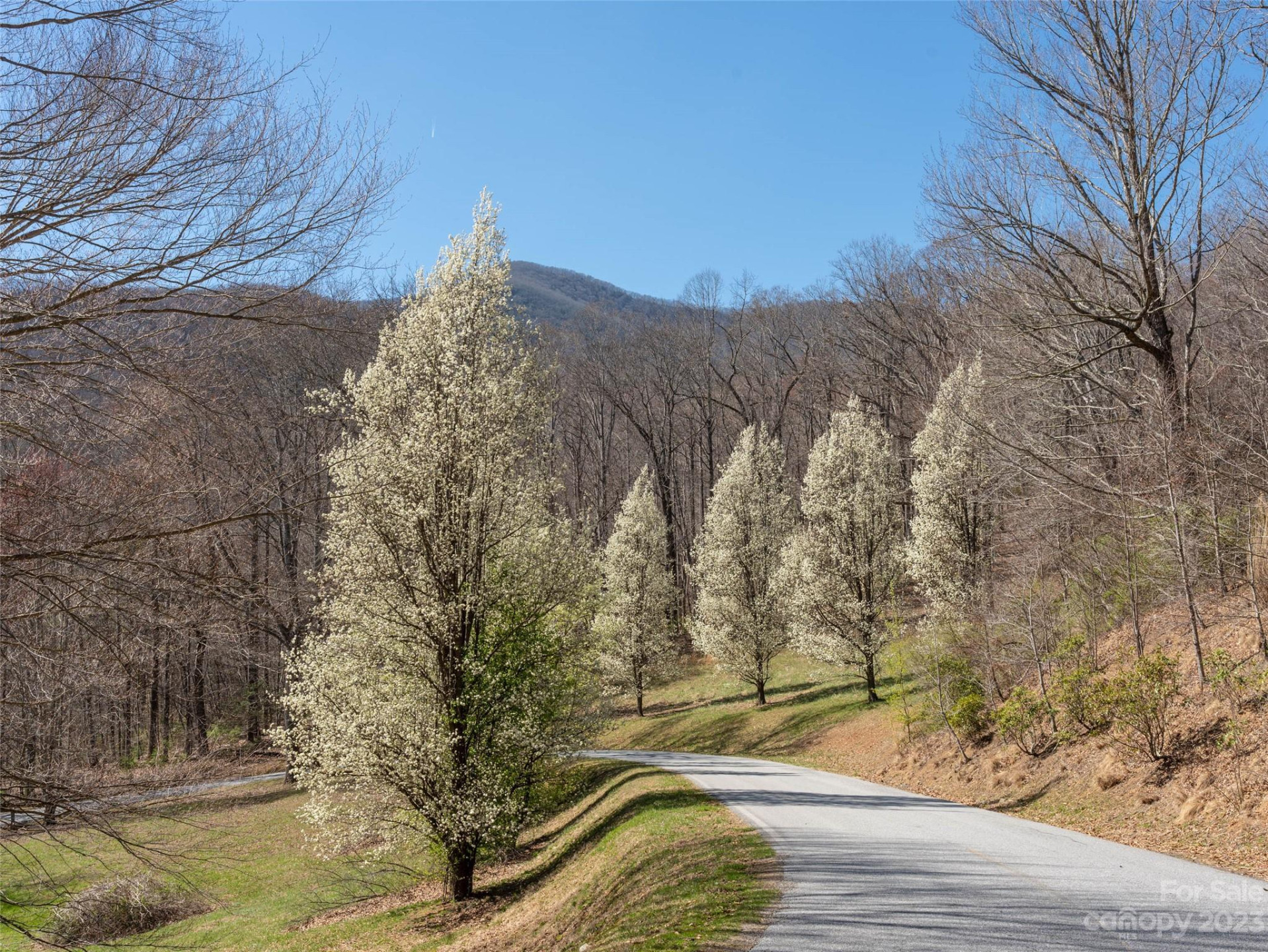 26 Great Aspen Way - Photo 8